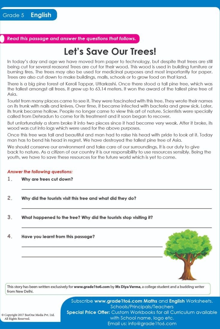 5th grade comprehension worksheets
