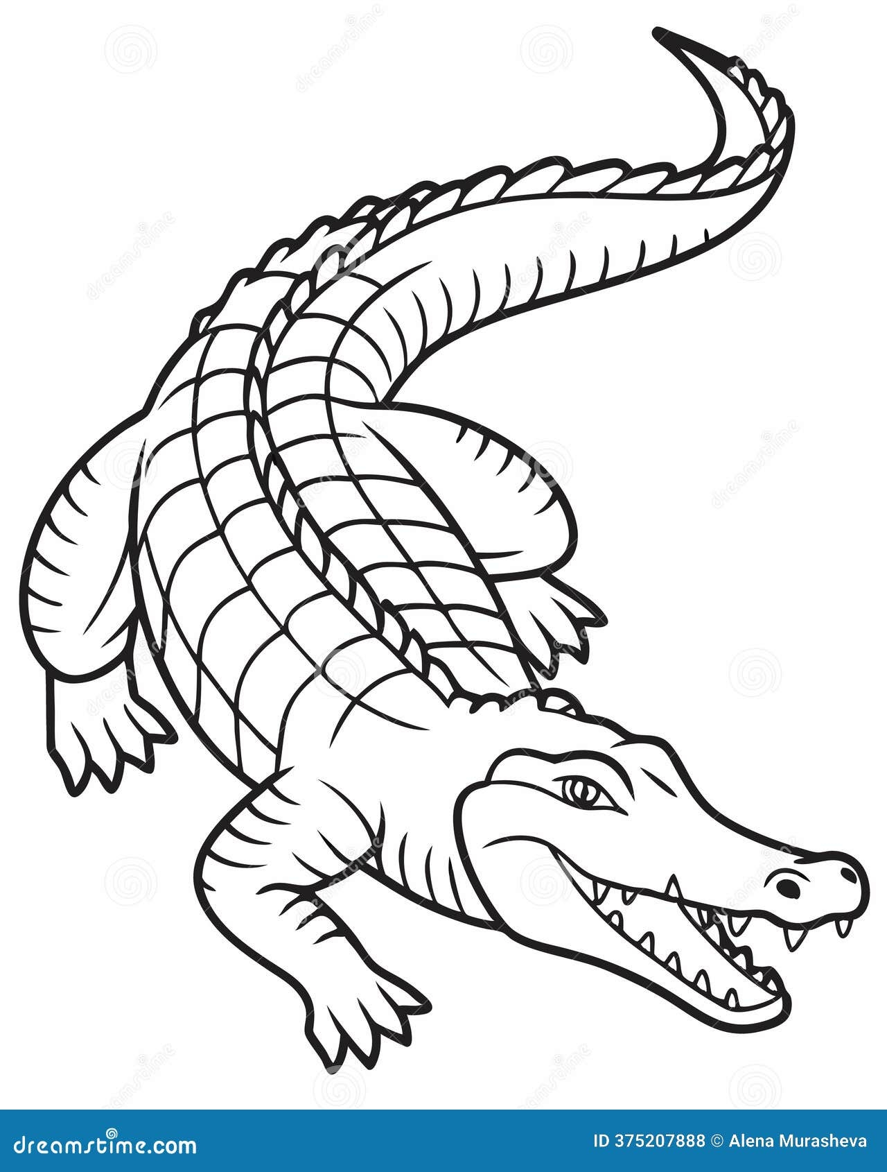 Crocodile Coloring Page With Detailed Scales And Open Mouth Line Art Stock Illustration Illustration Of Jungle Drawing 375207888 Crocodile Coloring Page With Detailed Scales And Open Mouth Line Art Stock Illustration Illustration Of Jungle Drawing 375207888