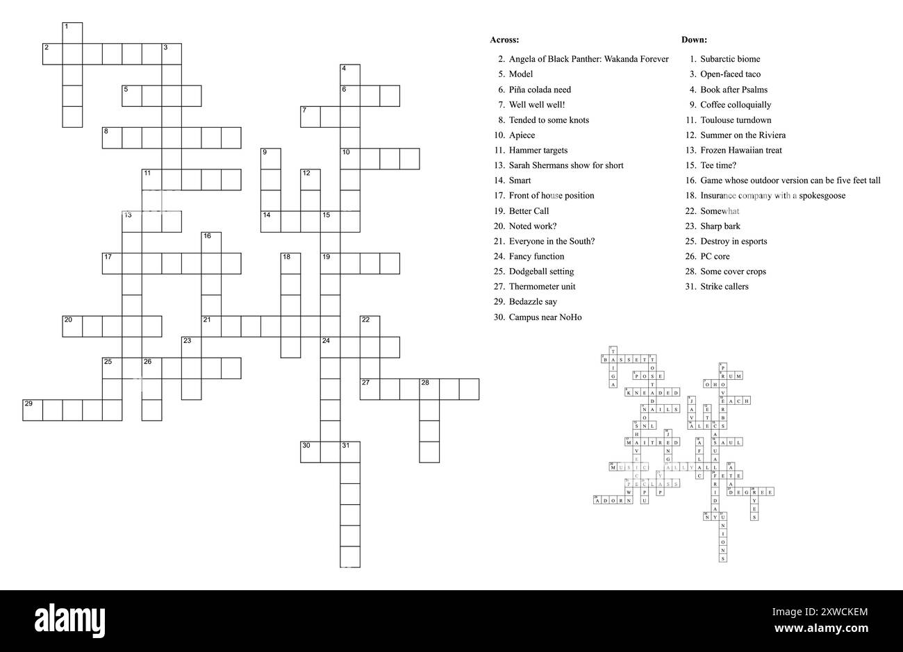allow crossword puzzle clue