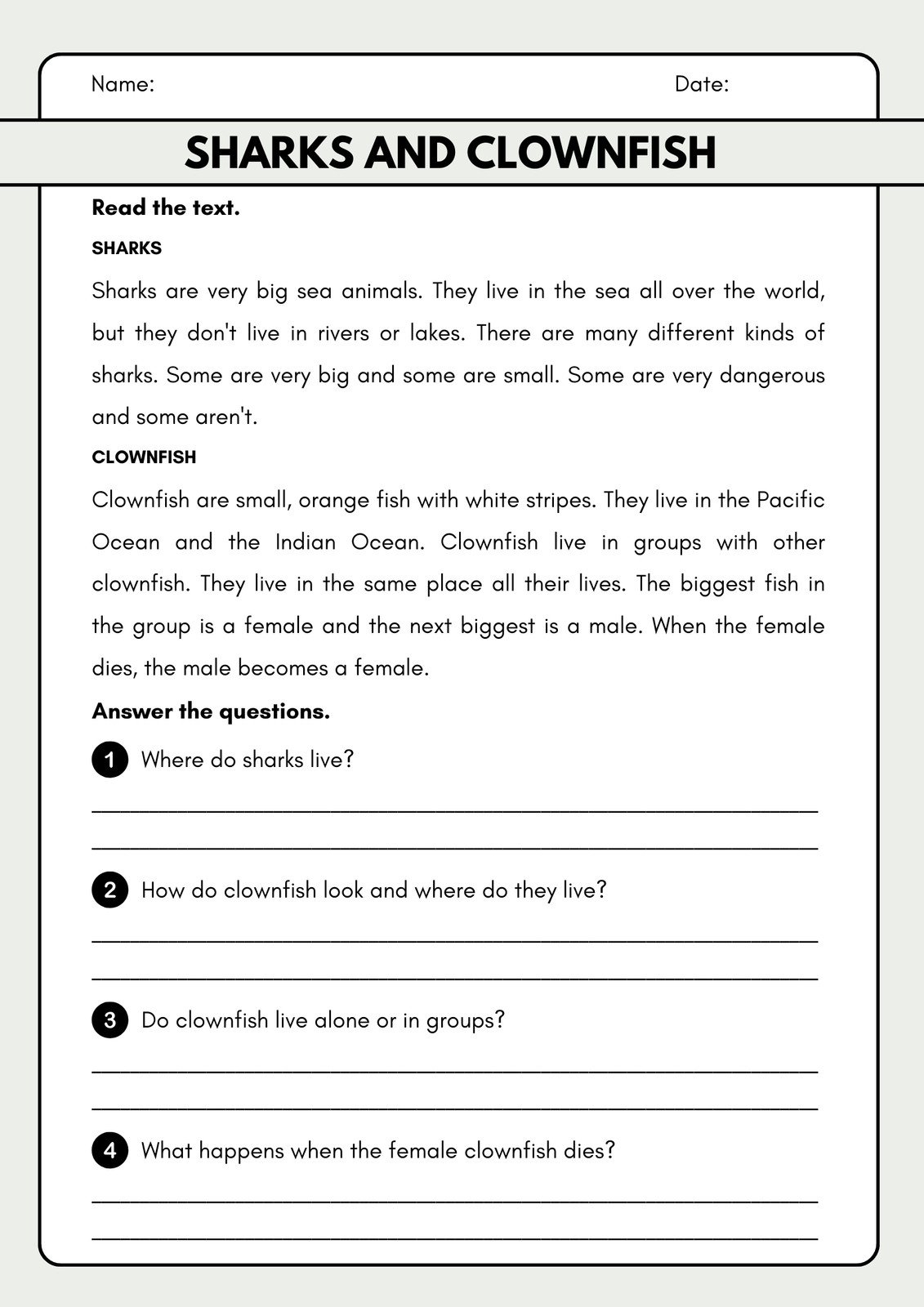 reading comprehension worksheets 3rd