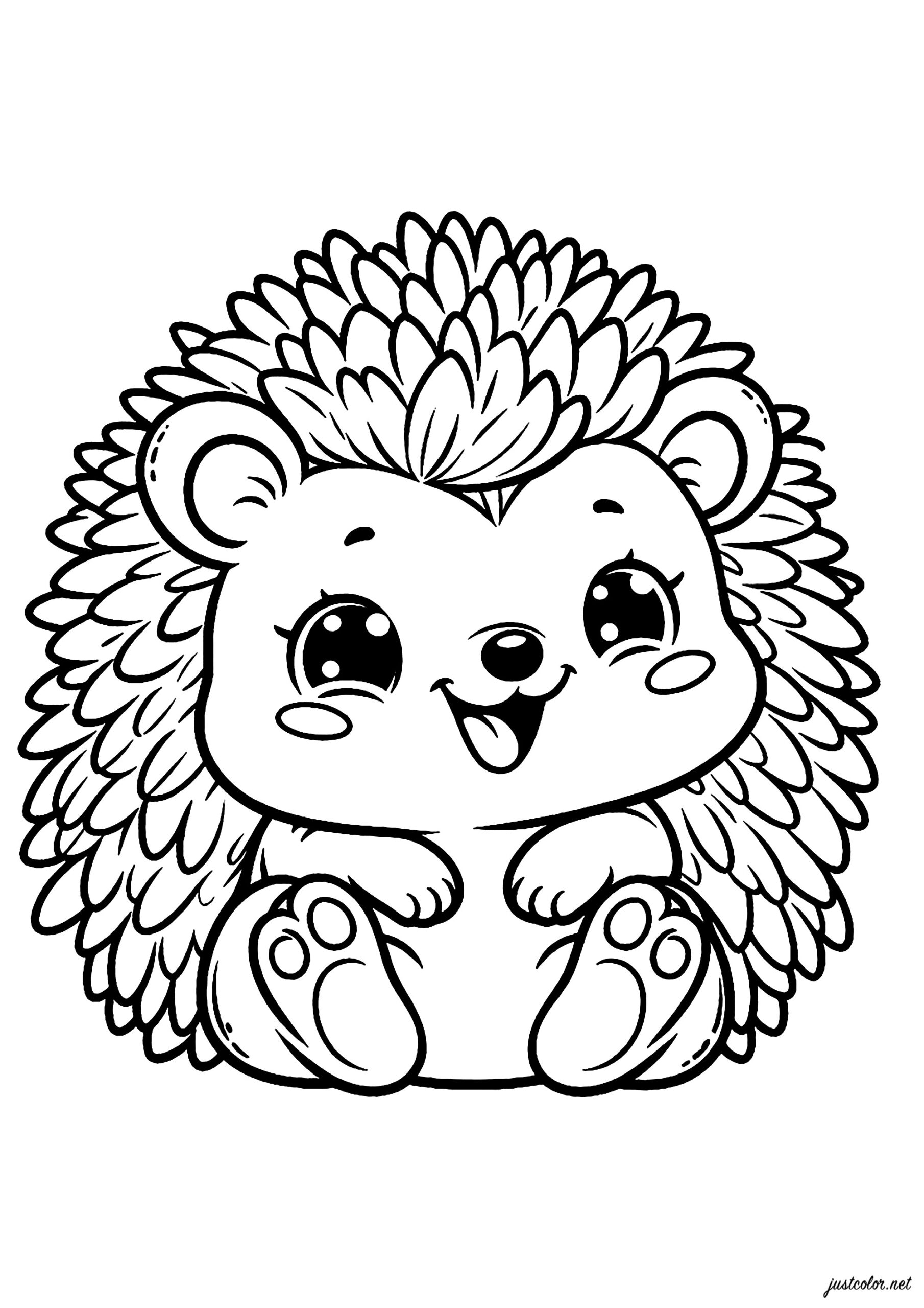 Cute Hedgehog Smiling In The Grass Hedgehog Coloring Pages Cute Hedgehog Smiling In The Grass Hedgehog Coloring Pages