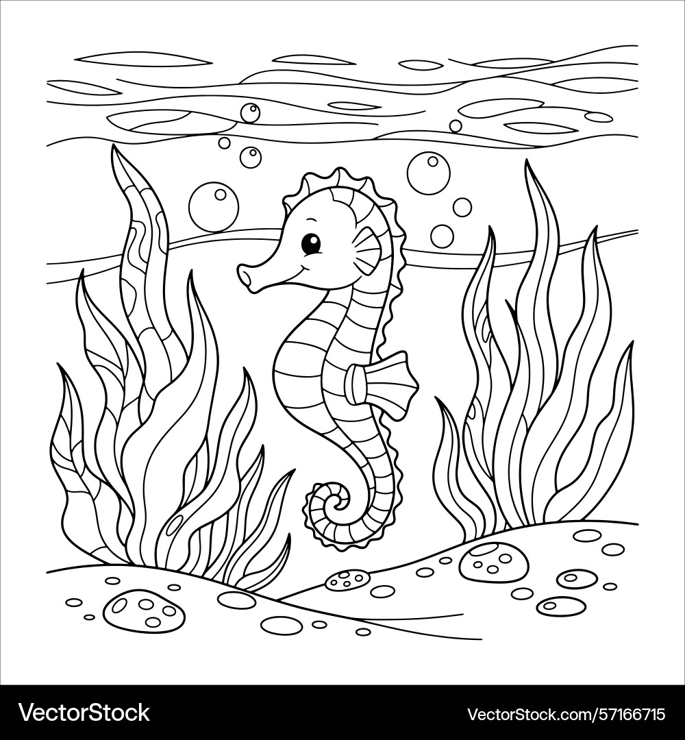 seahorse coloring page