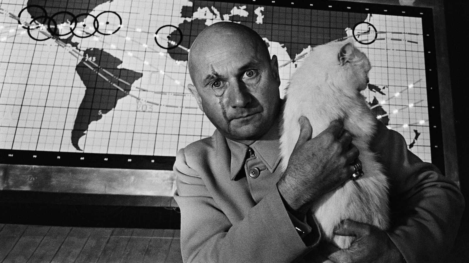 Cute Sound The New York Times