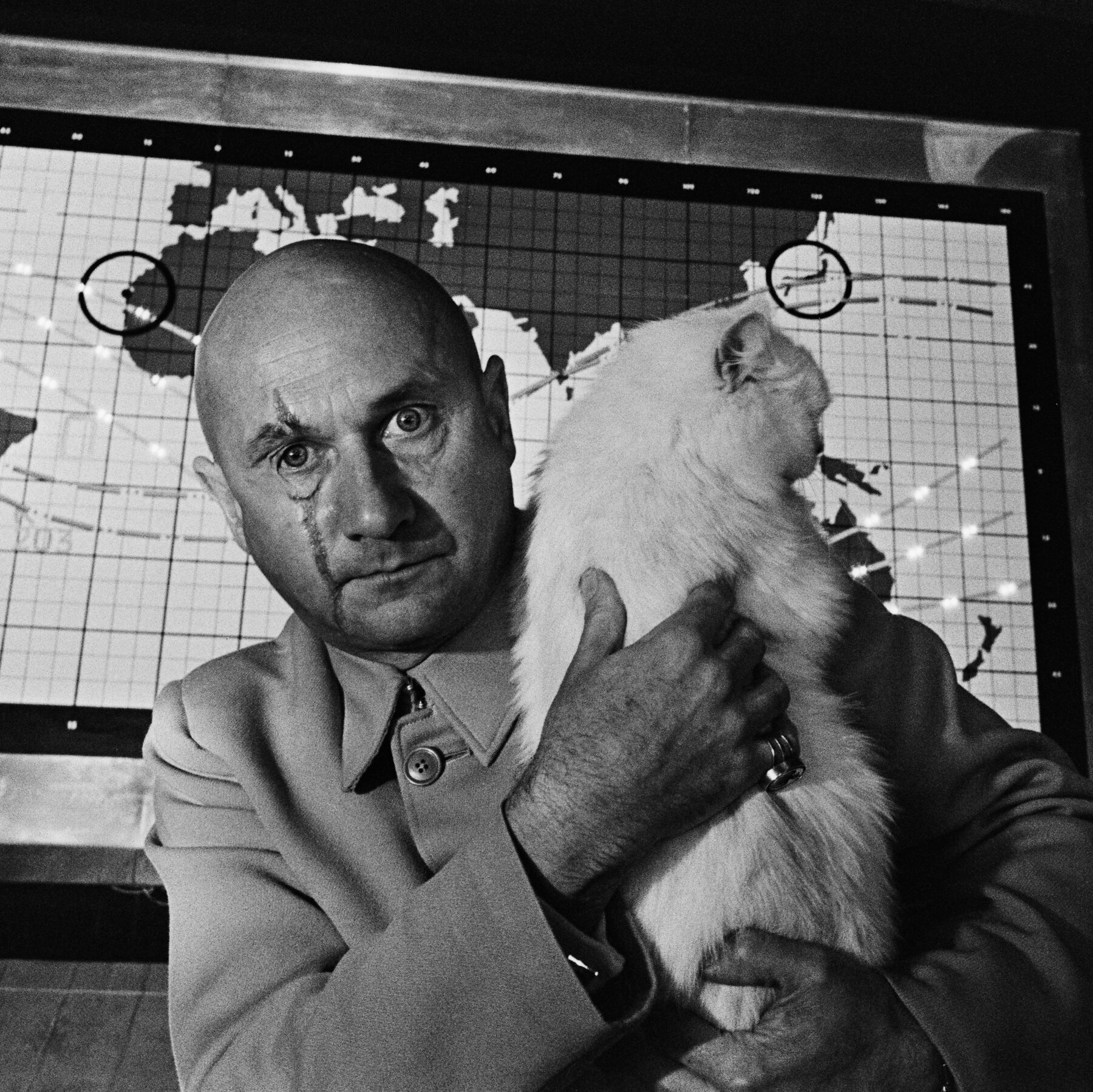 relative of upward dog crossword clue