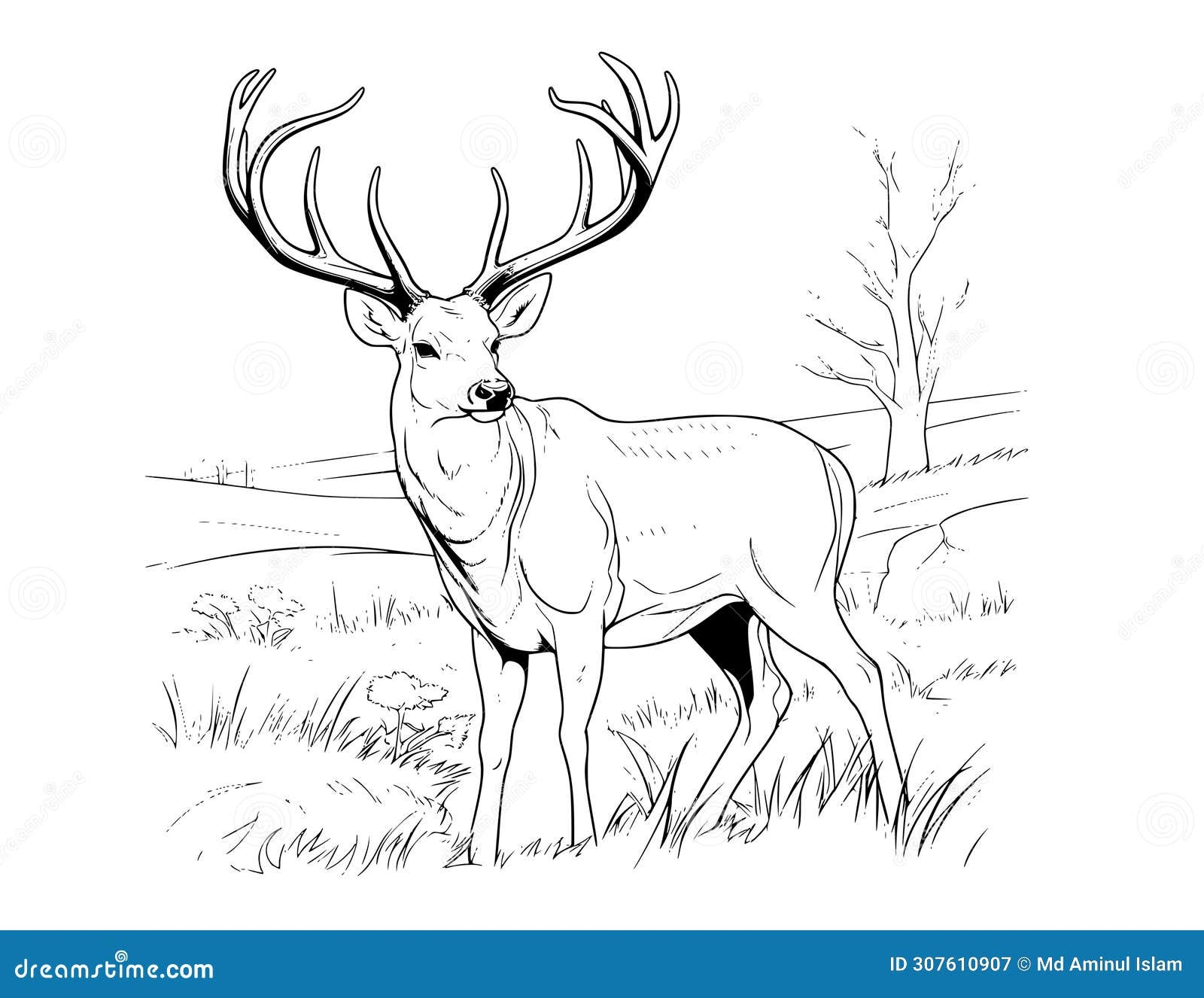 Deer Coloring Pages For Kids Stock Vector Illustration Of Buck Sheets 307610907