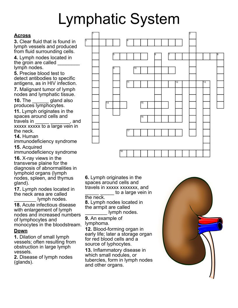 differential media crossword