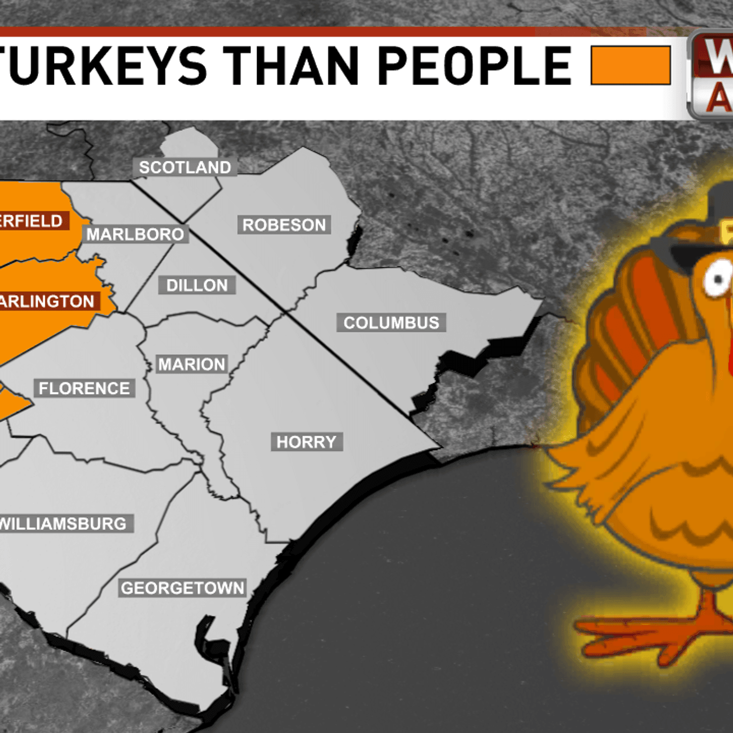 Discover The SC Counties With More Wild Turkeys Than Residents
