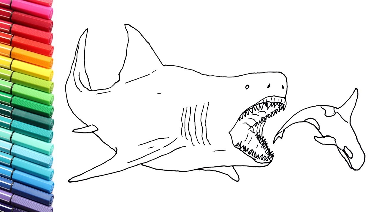 Drawing And Coloring The Megalodon Megalodon Shark Color Pages For Children YouTube