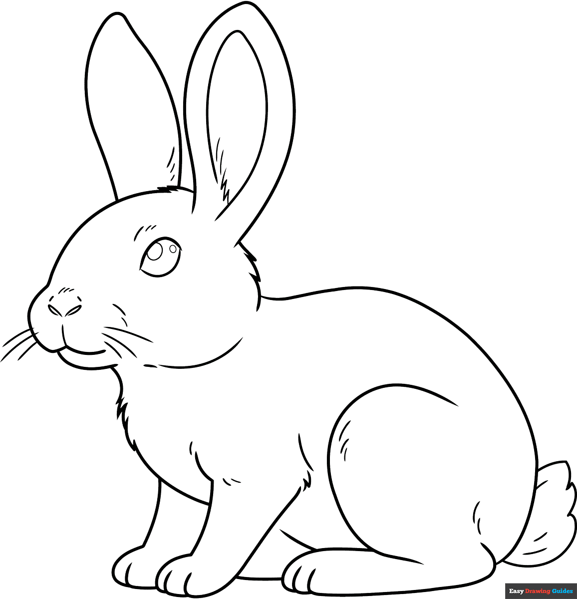 Easy Realistic Bunny Coloring Page Easy Drawing Guides