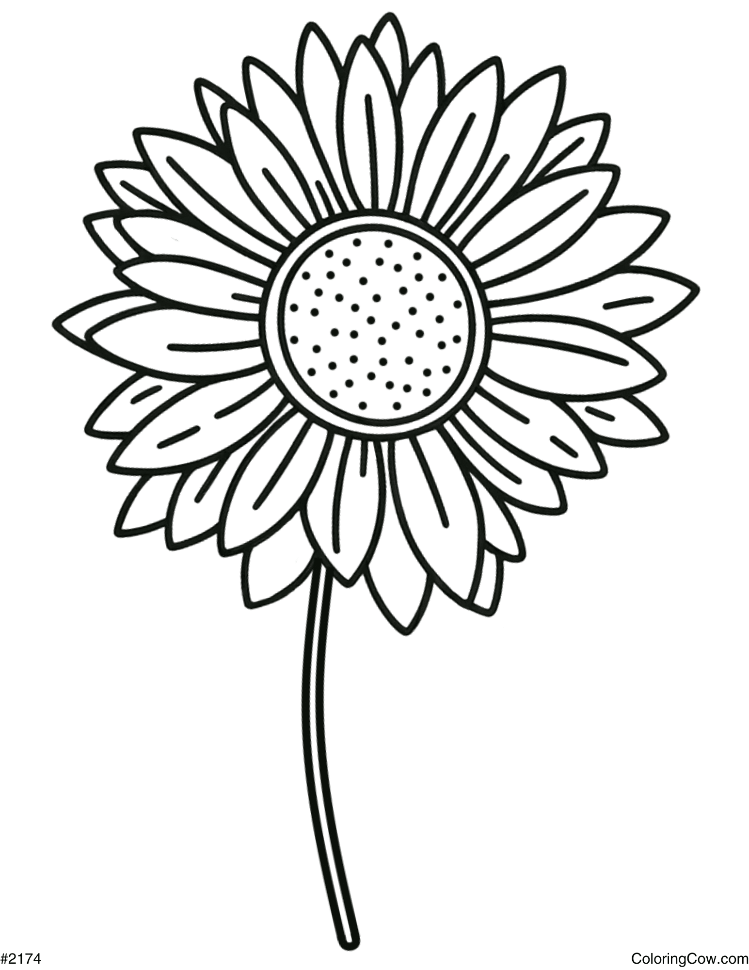 sunflower coloring pages