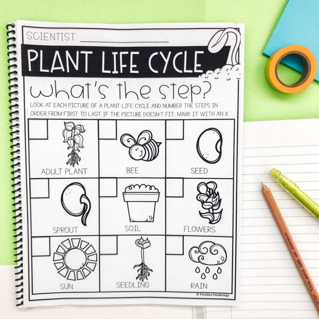 2nd grade science worksheets