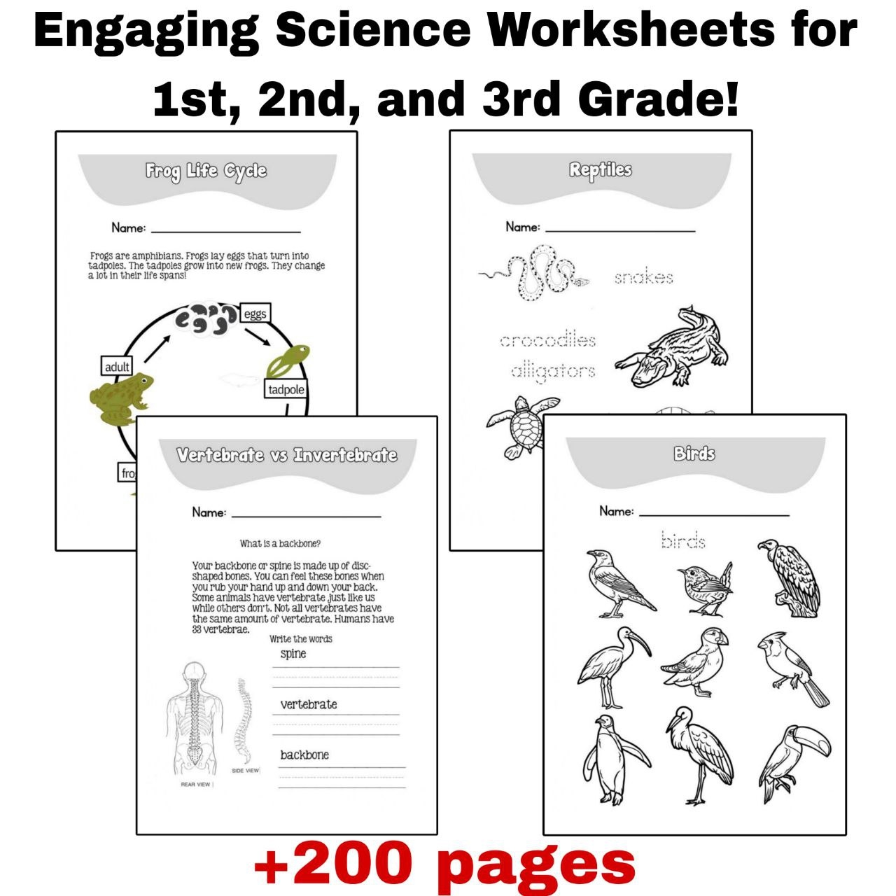 science for 2nd graders worksheets