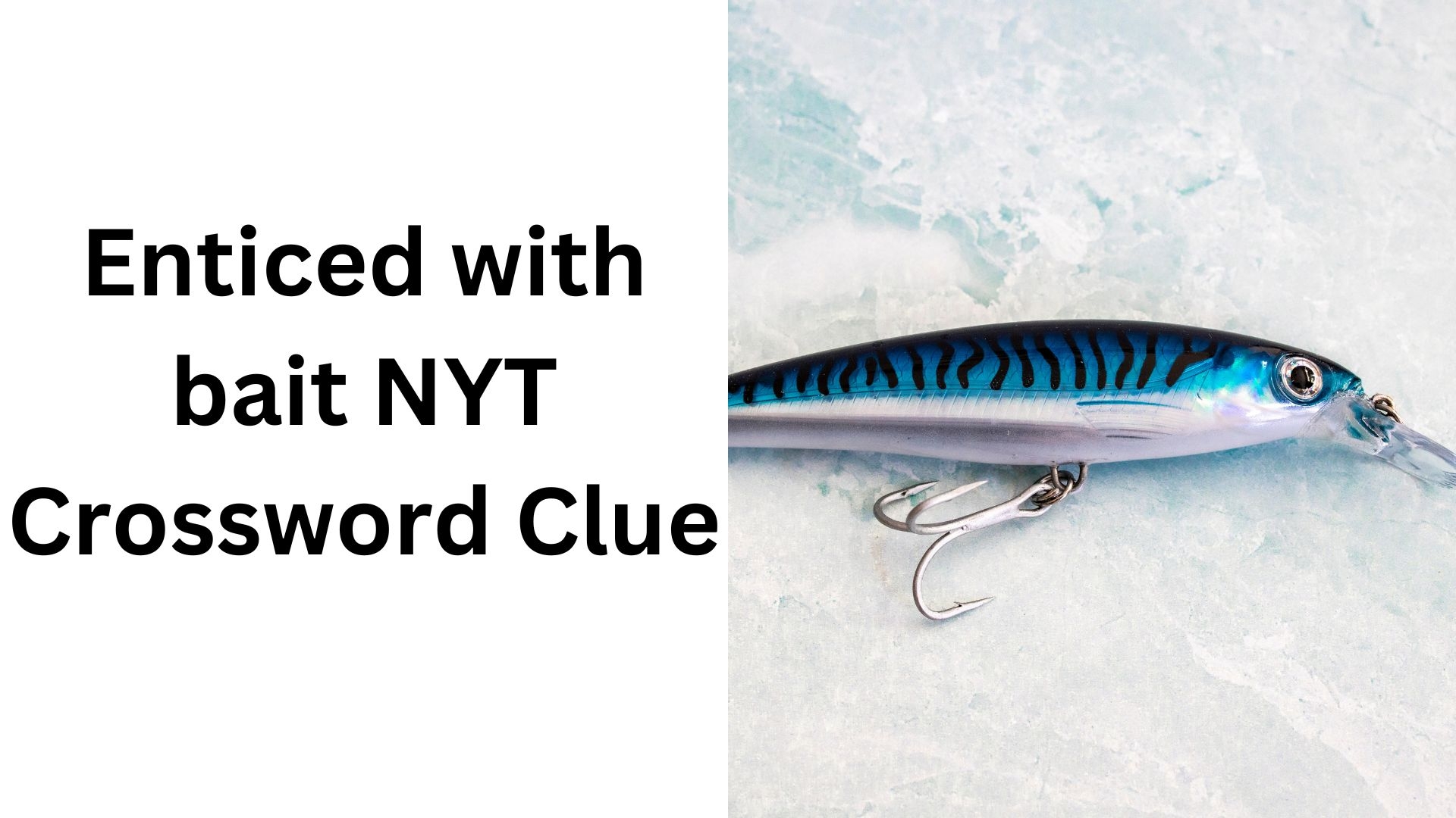 Enticed With Bait NYT Crossword Clue December 13 2024