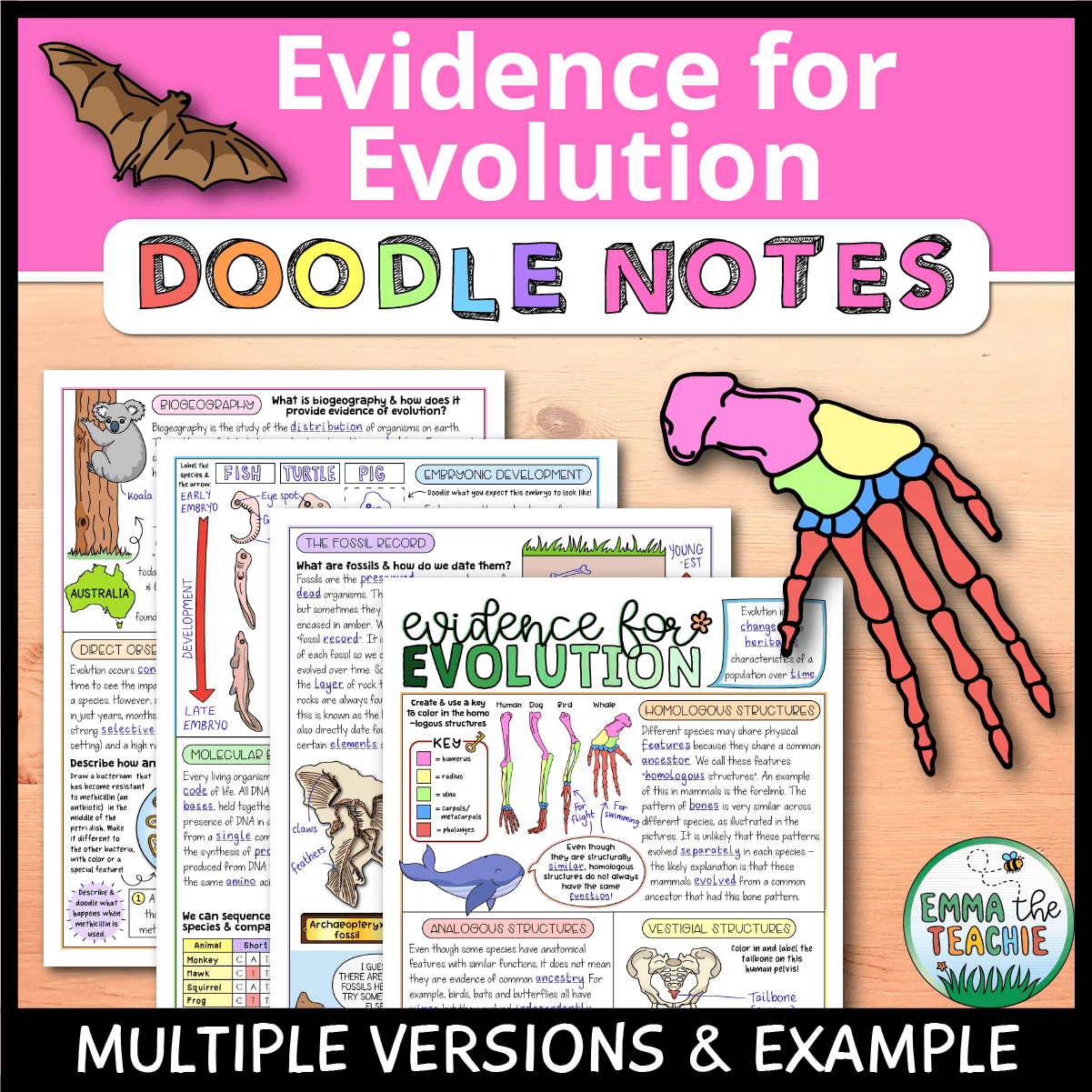 Evidence For Evolution Doodle Notes Emmatheteachie