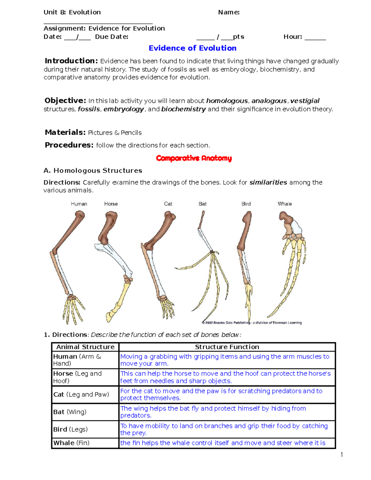 evidence for evolution worksheet