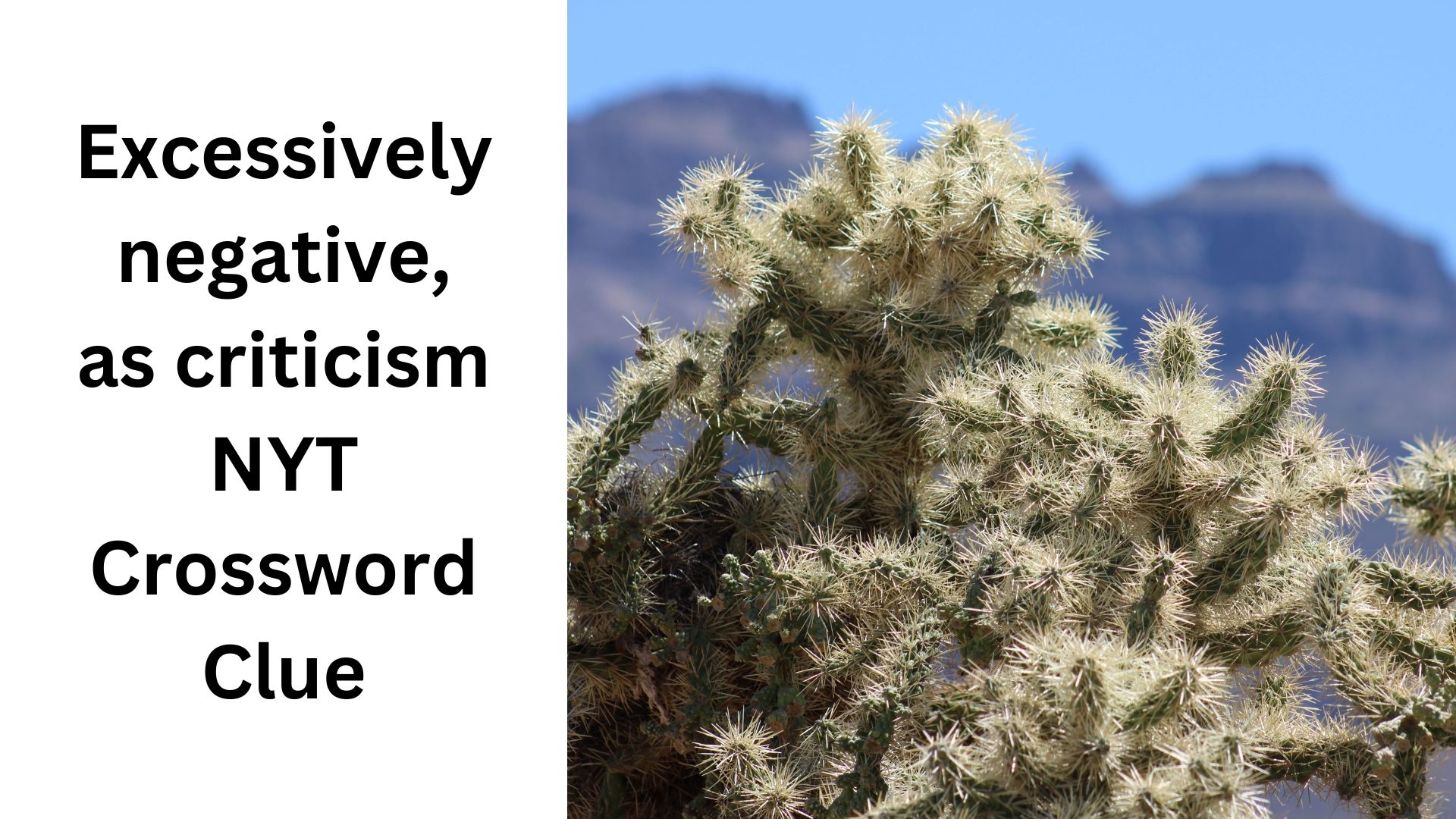 Excessively Negative As Criticism NYT Crossword Clue October 2 2024