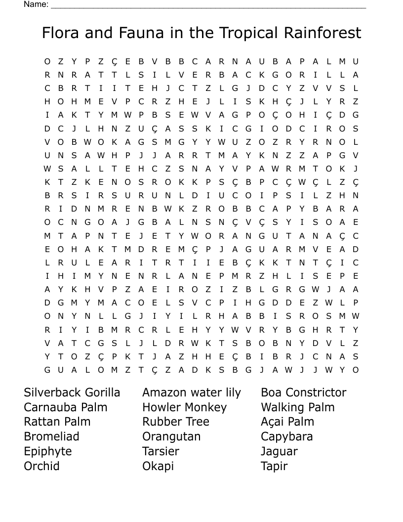 Flora And Fauna In The Tropical Rainforest Word Search WordMint