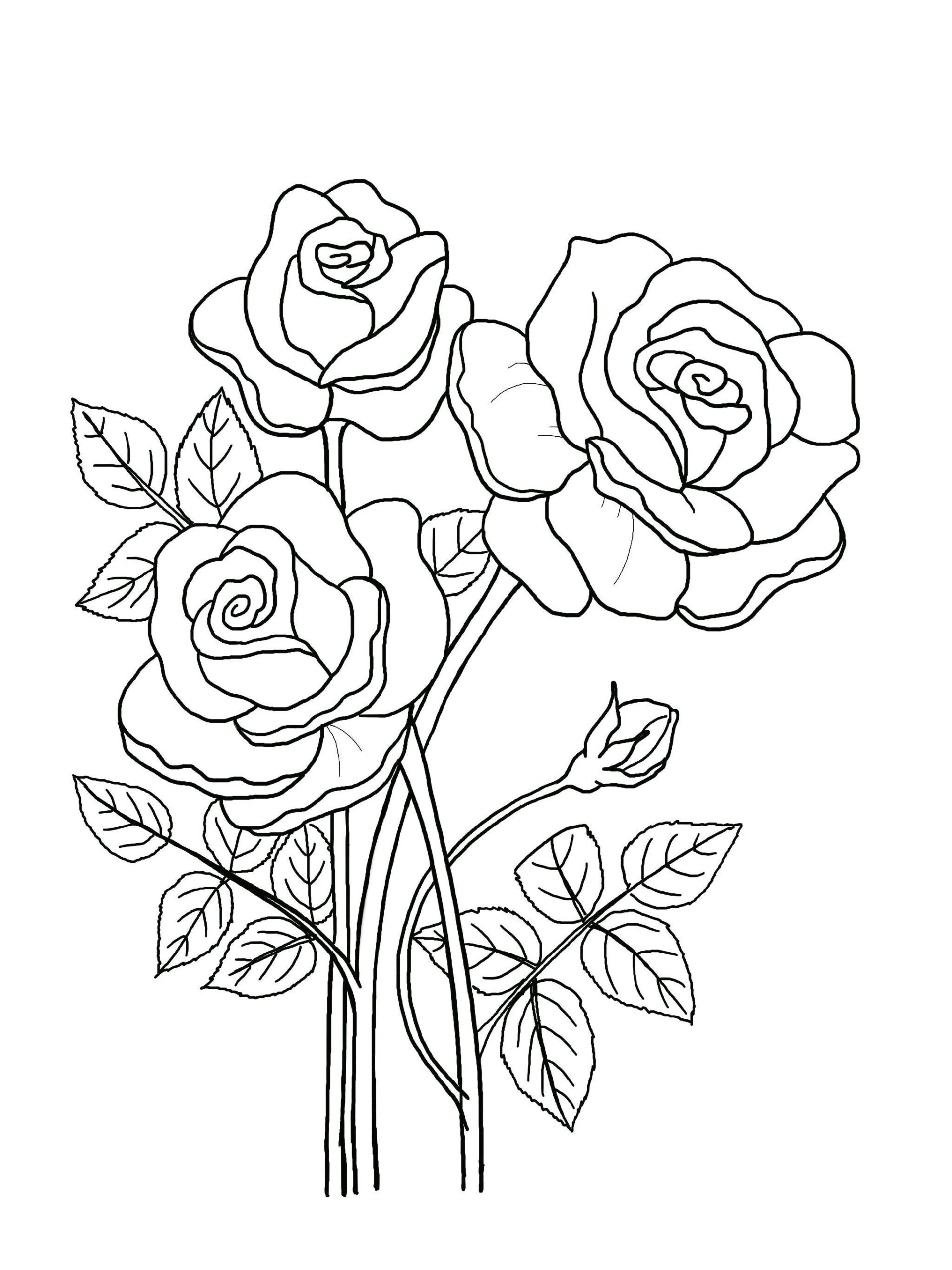 Floral Coloring Pages Hand drawn Flowers 5 page Book PDF JPG Etsy Israel