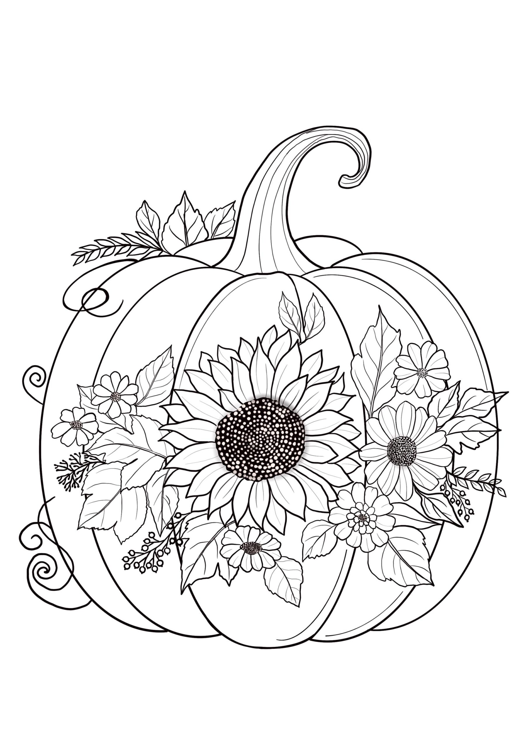 Floral Pumpkin Coloring Pages Fall Autumn Leaves PDF Etsy Israel