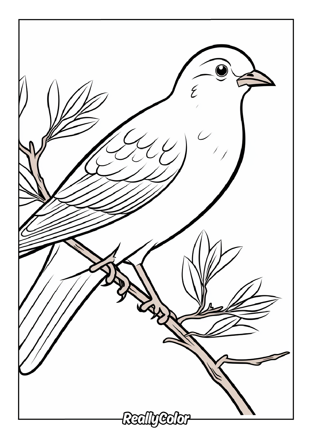 Free Printable Bird Coloring Pages