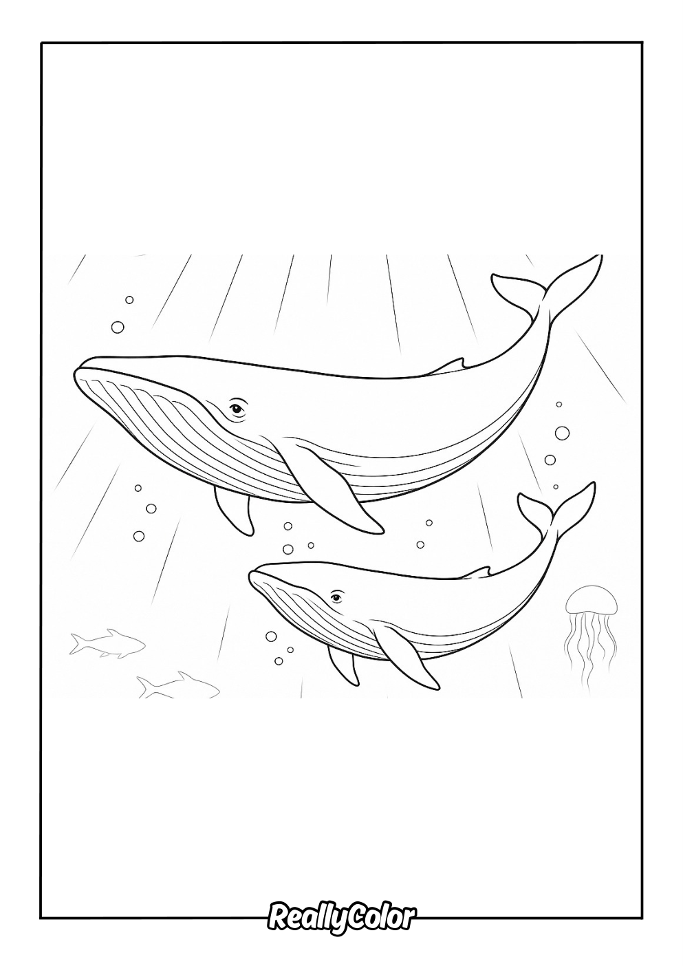 Free Printable Blue Whale Coloring Pages