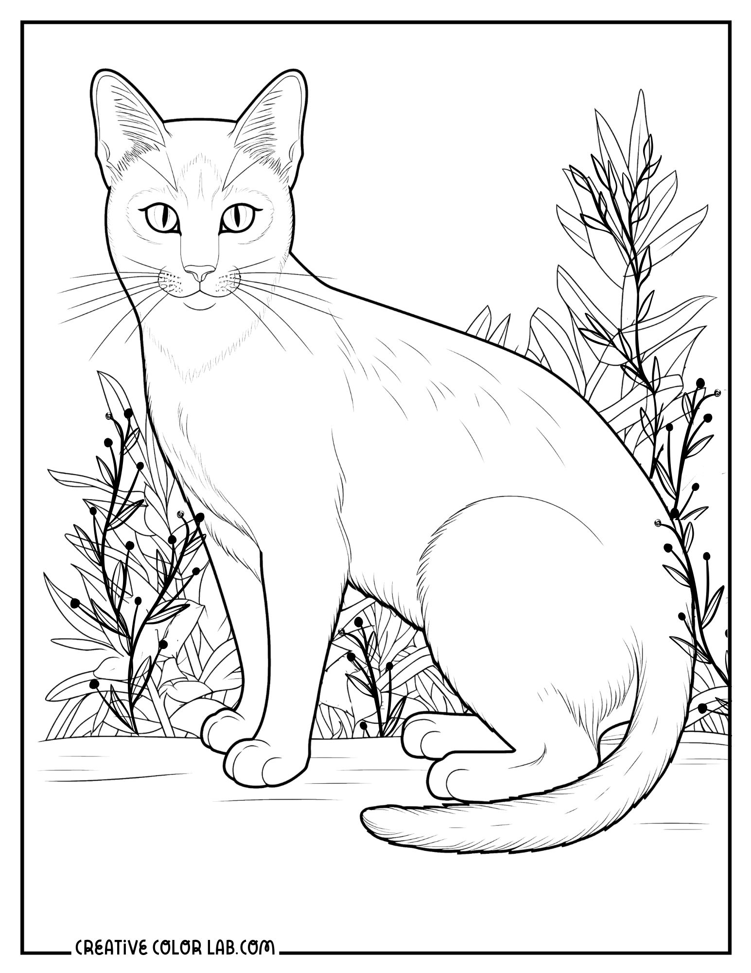 realistic cat coloring pages
