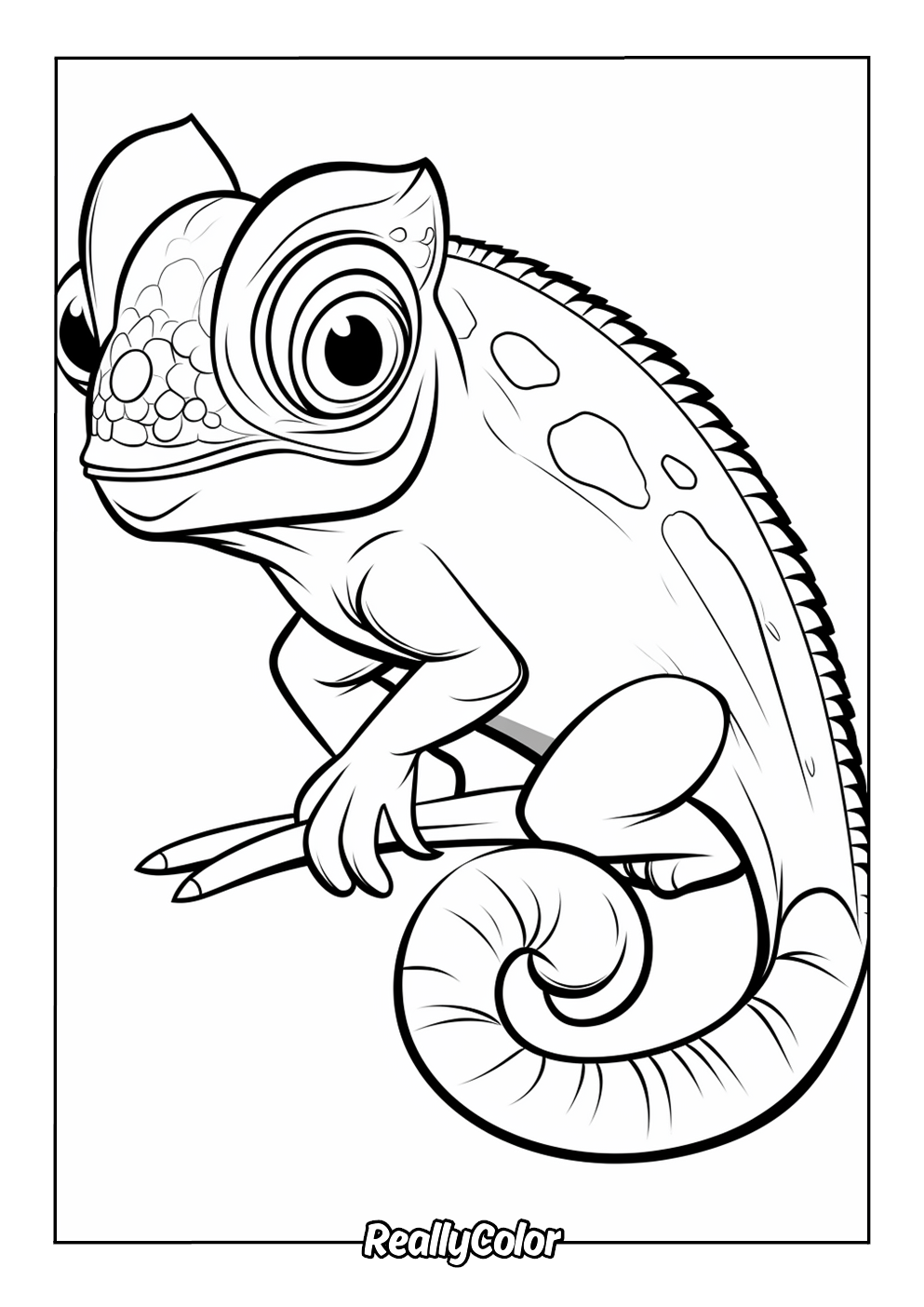 Free Printable Chameleon Coloring Pages