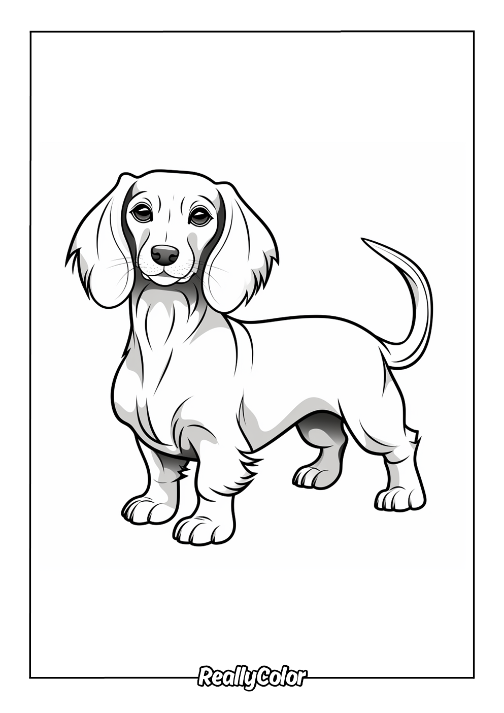 Free Printable Dachshund Coloring Pages
