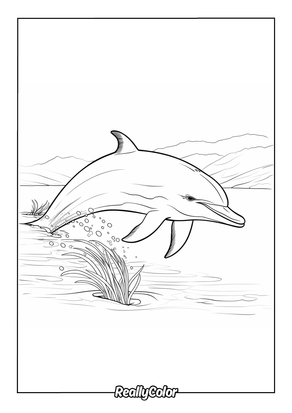 Free Printable Dolphin Coloring Pages