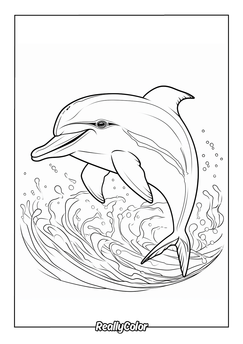 Free Printable Dolphin Coloring Pages