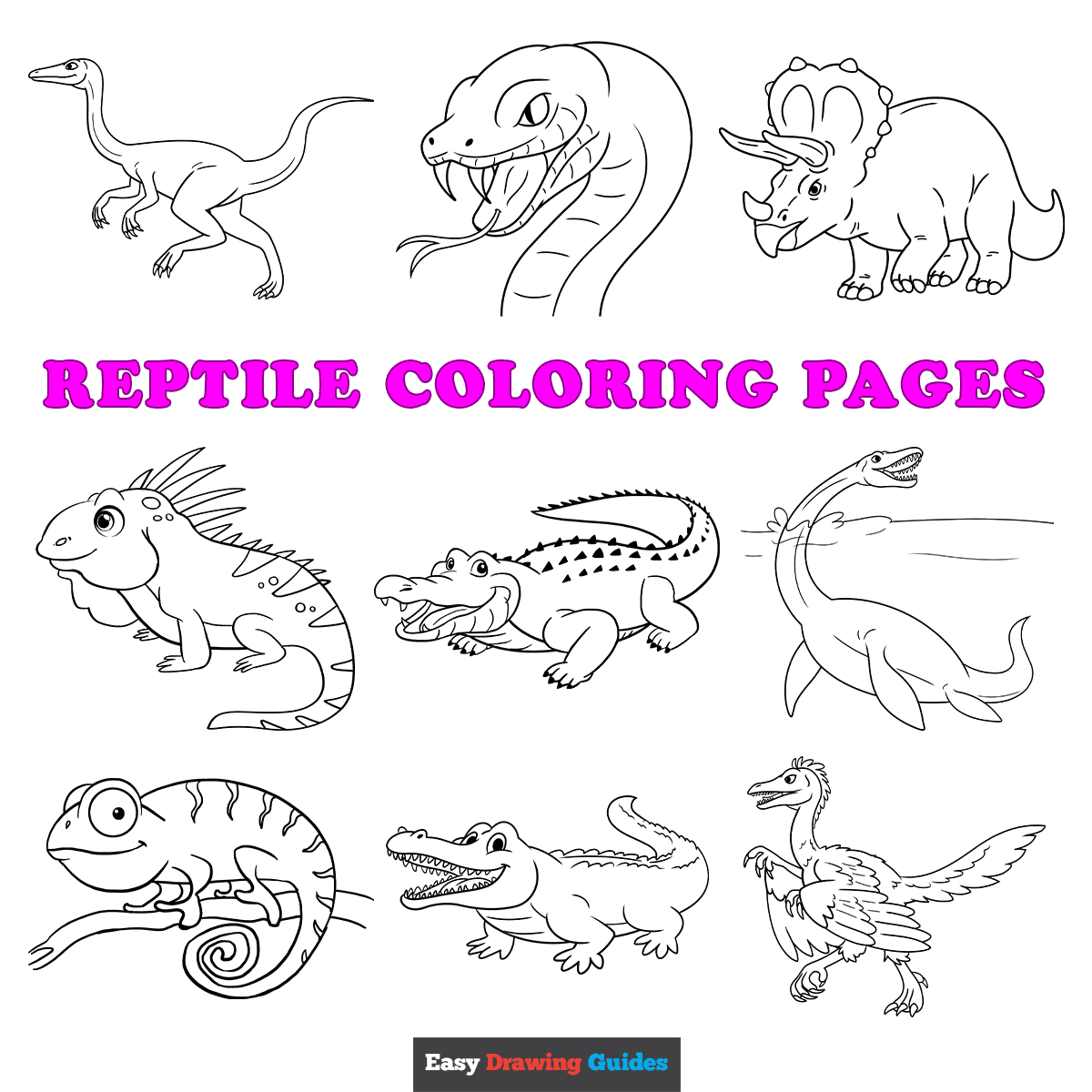 Free Printable Reptile Coloring Pages For Kids