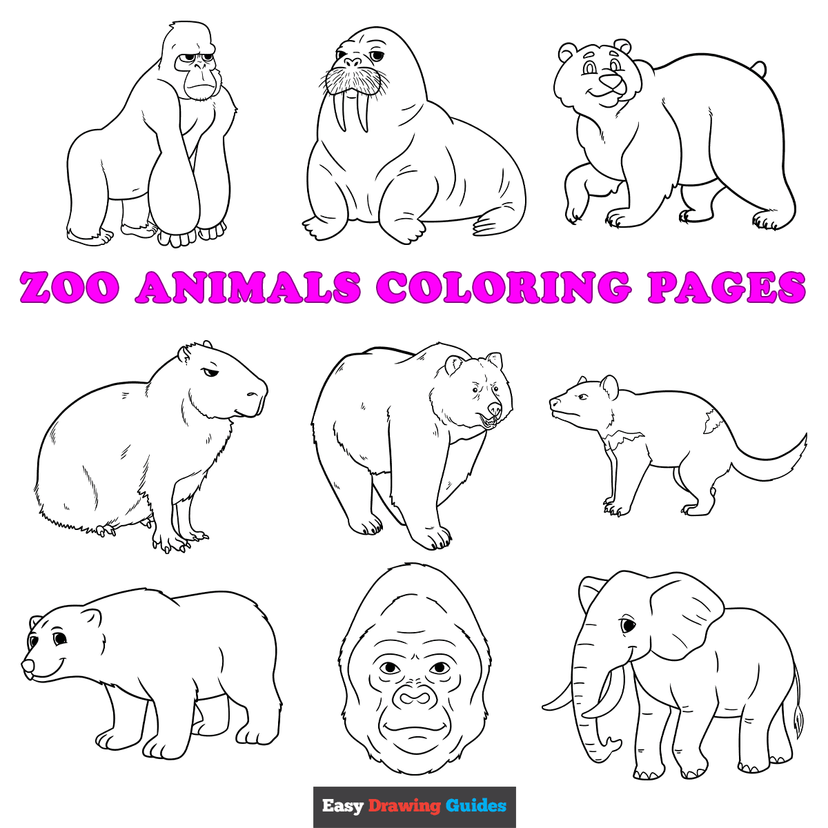 zoo animal coloring pages zoo animal coloring pages