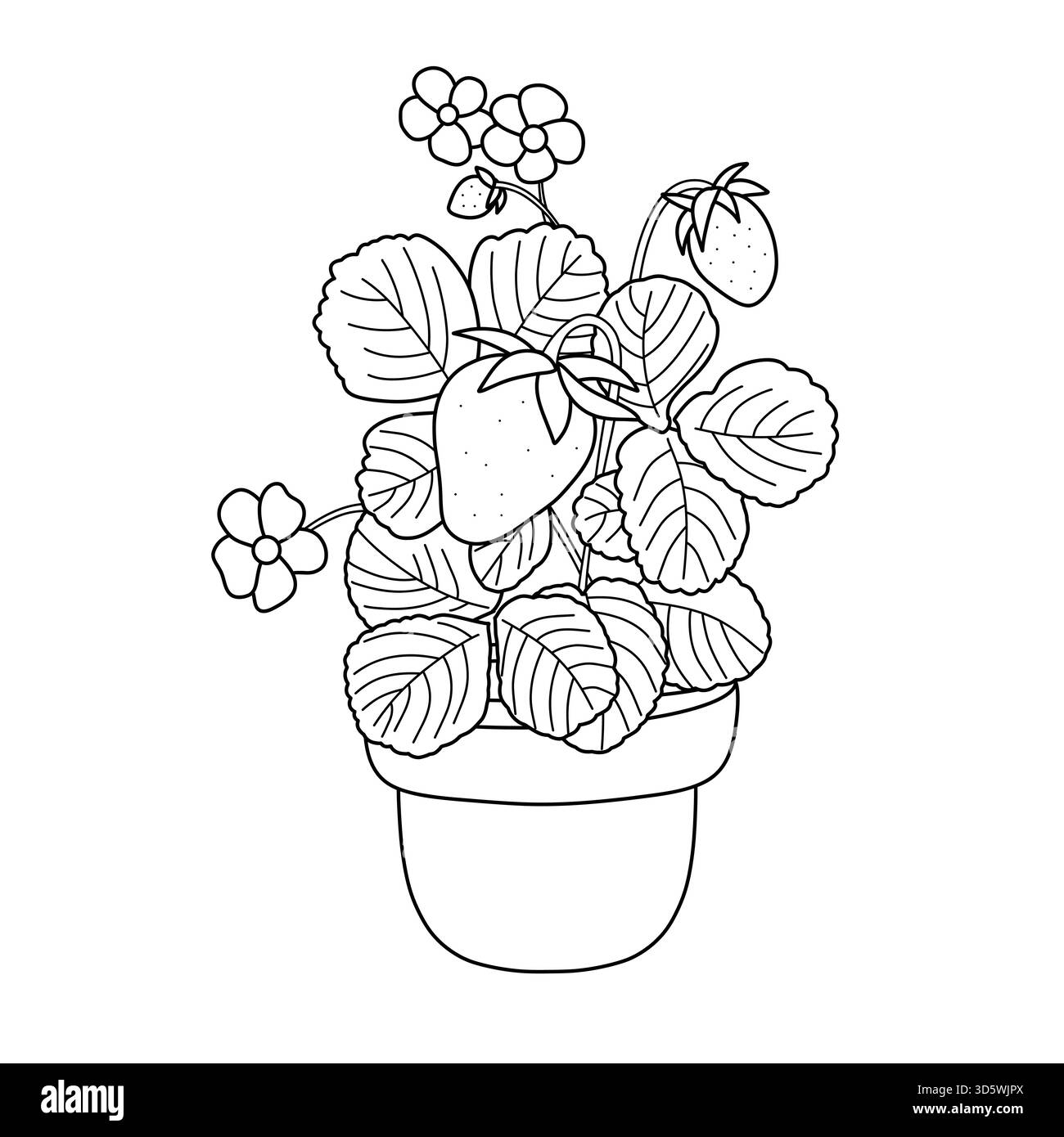 Fruit Coloring Pages Printable Stock Vector Images Alamy Fruit Coloring Pages Printable Stock Vector Images Alamy