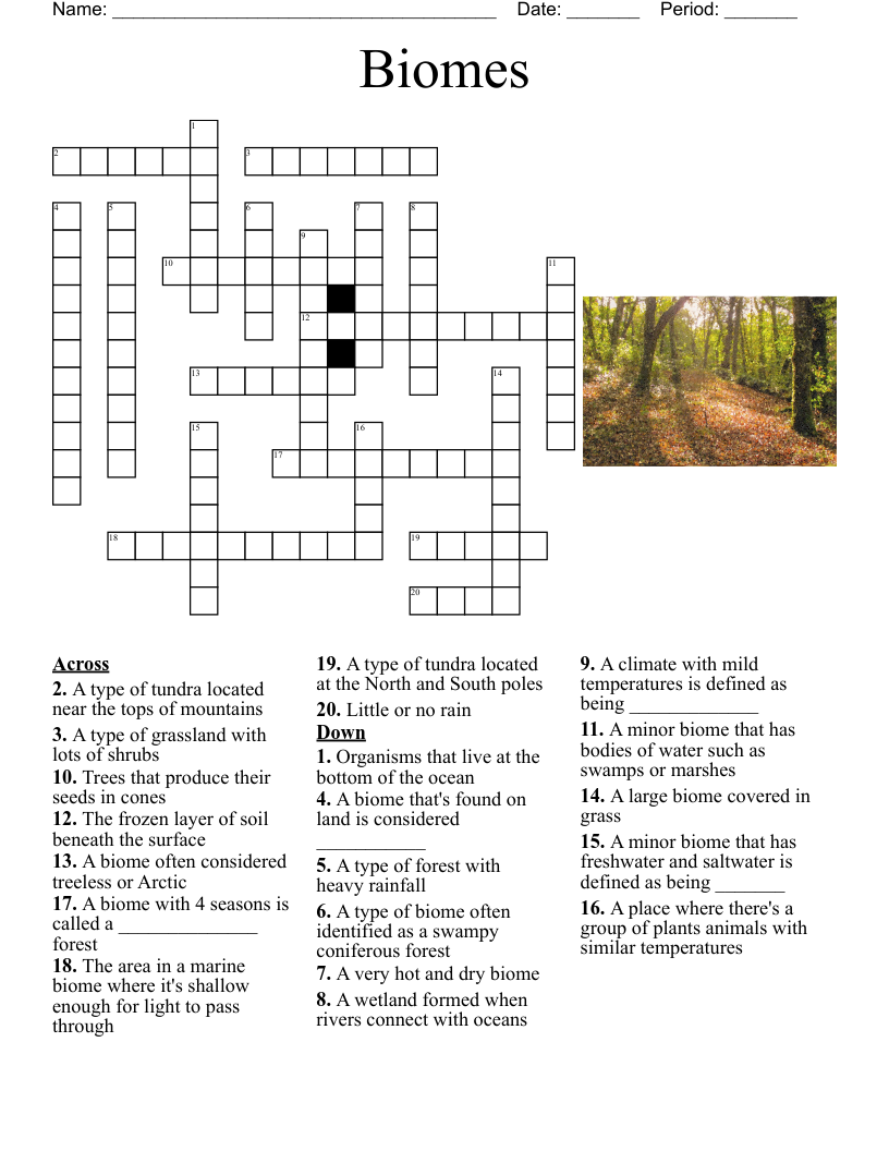 Grasslands Crossword WordMint