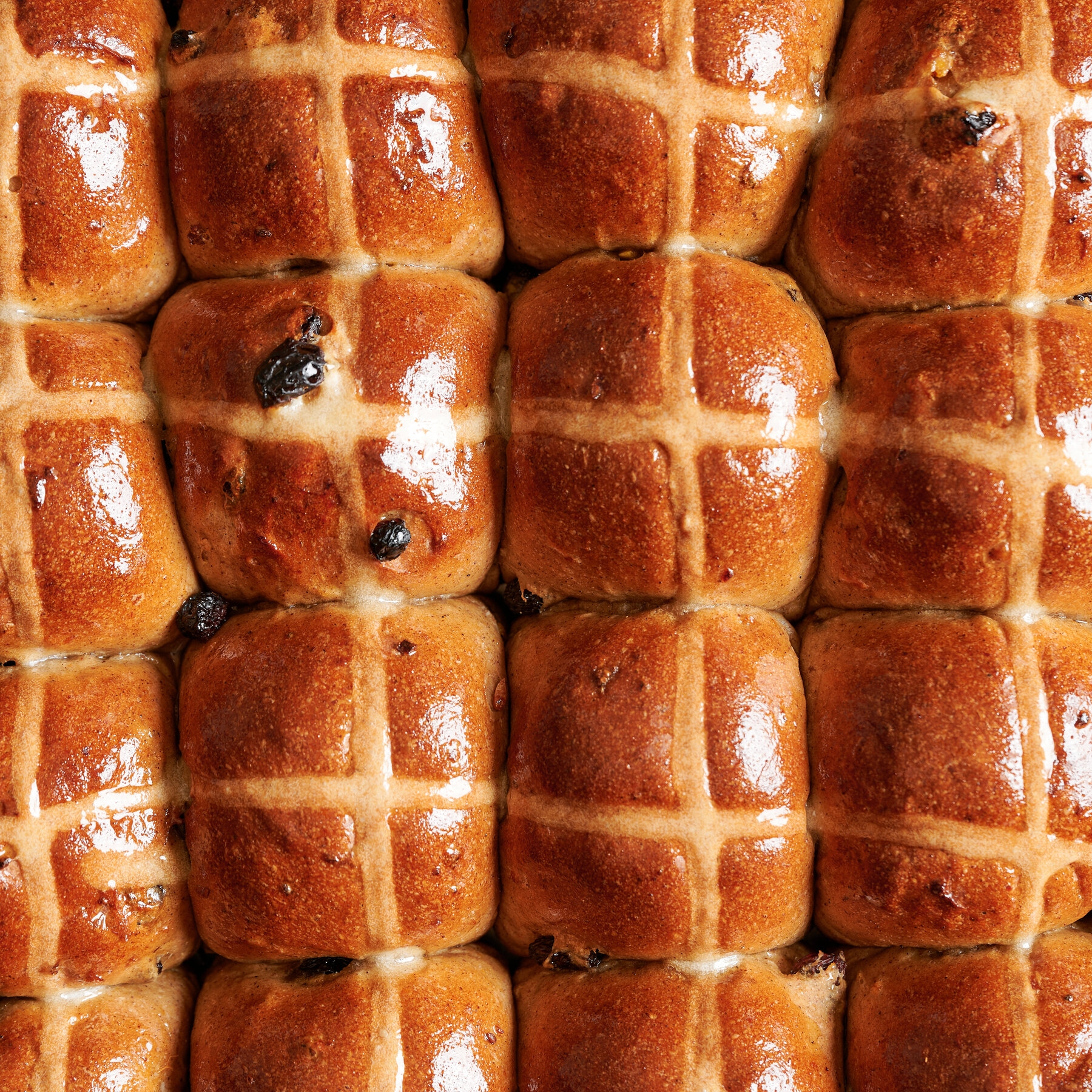 buns nyt crossword buns nyt crossword