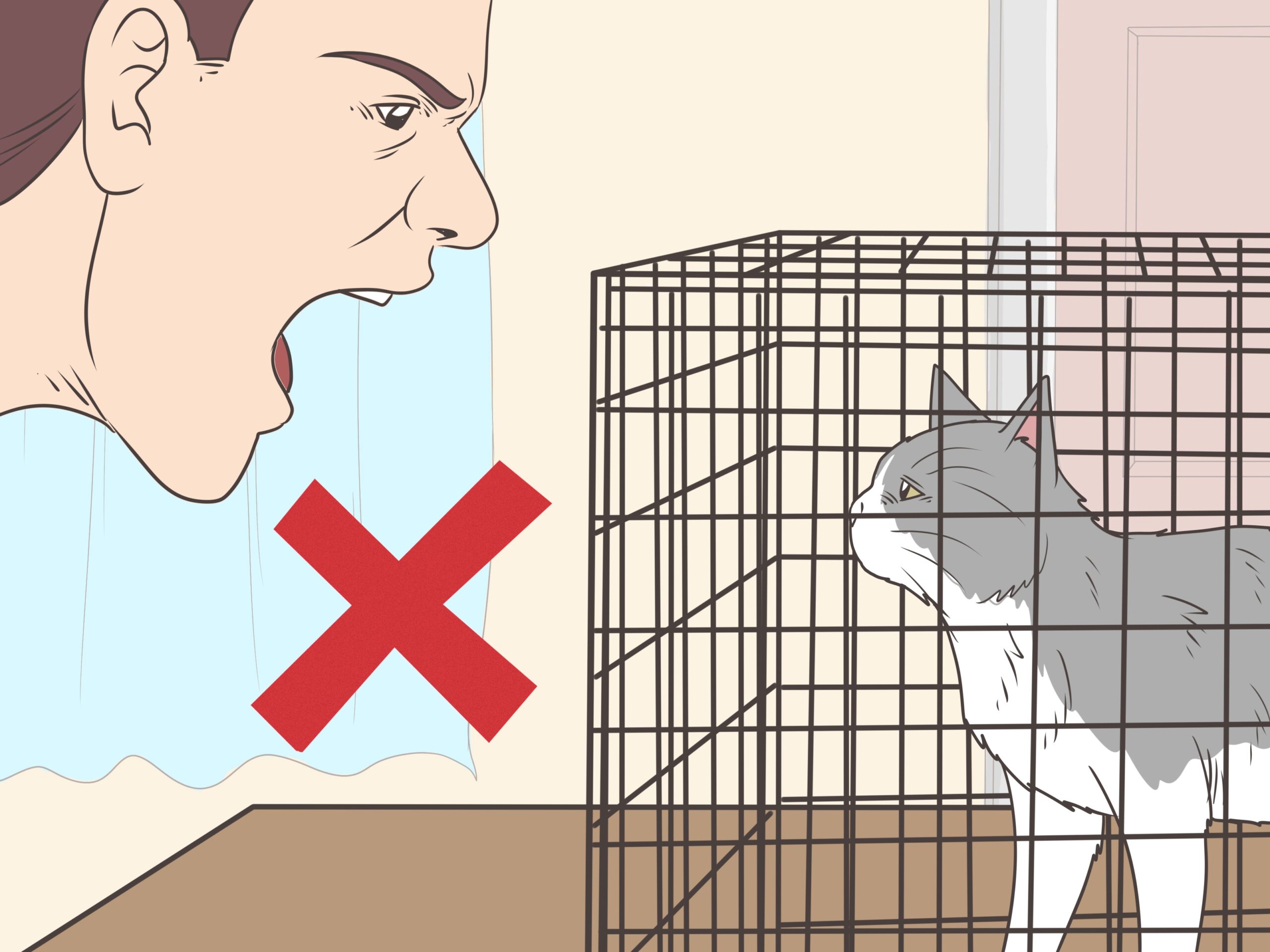 How To Train Your Cat To Listen 11 Steps with Pictures 