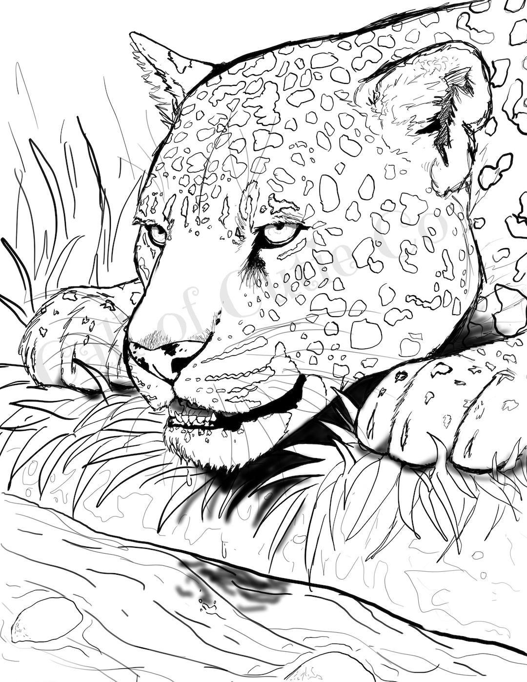 Jaguar Coloring Page Animal Coloring Page Etsy Jaguar Coloring Page Animal Coloring Page Etsy
