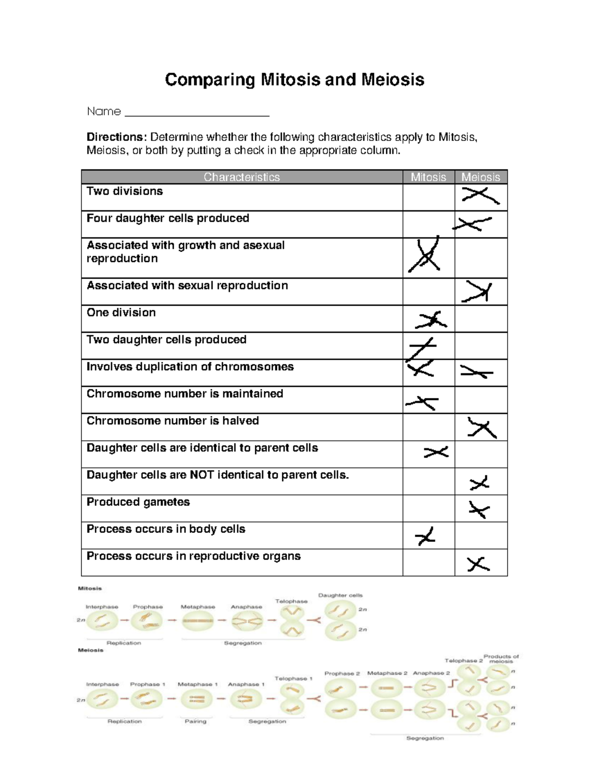 Kami Export Comparing Mitosis And Meiosis Worksheet Comparing Mitosis And Meiosis Name Studocu