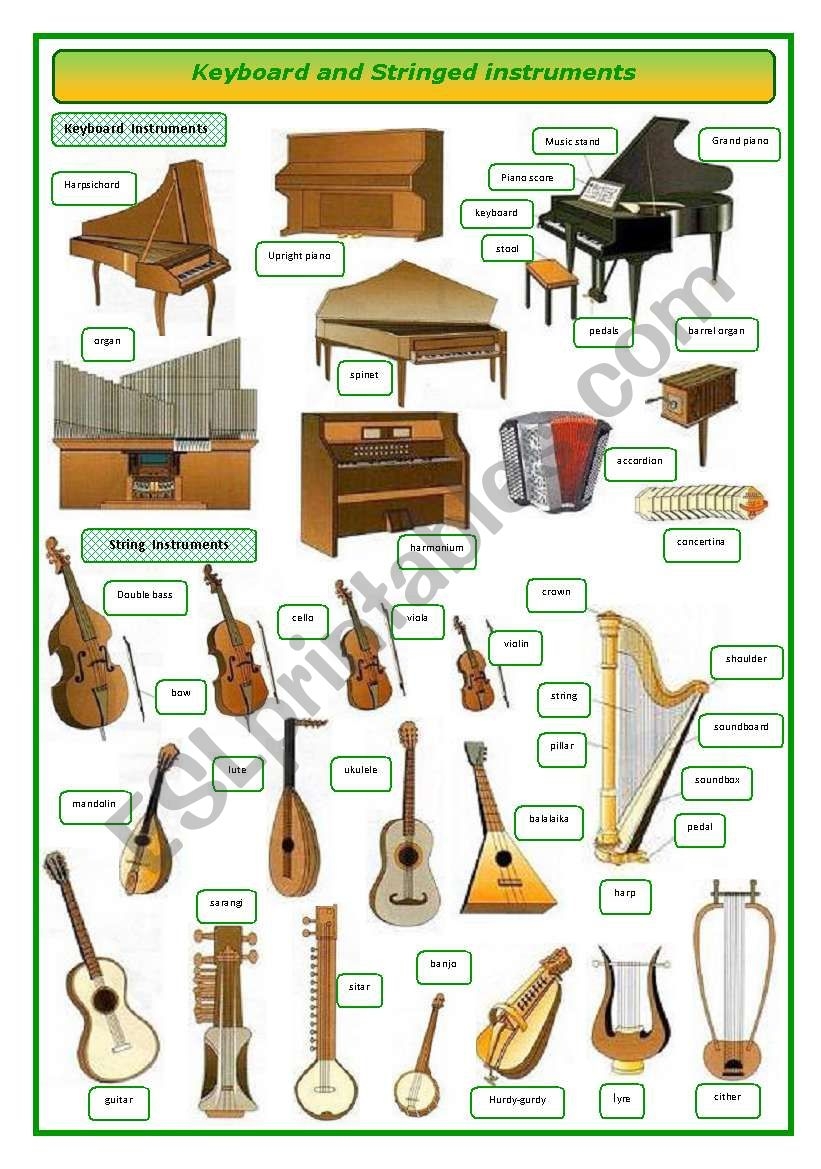 Keyboard And Stringed Musical Instruments pictionary ESL Worksheet By Oppilif