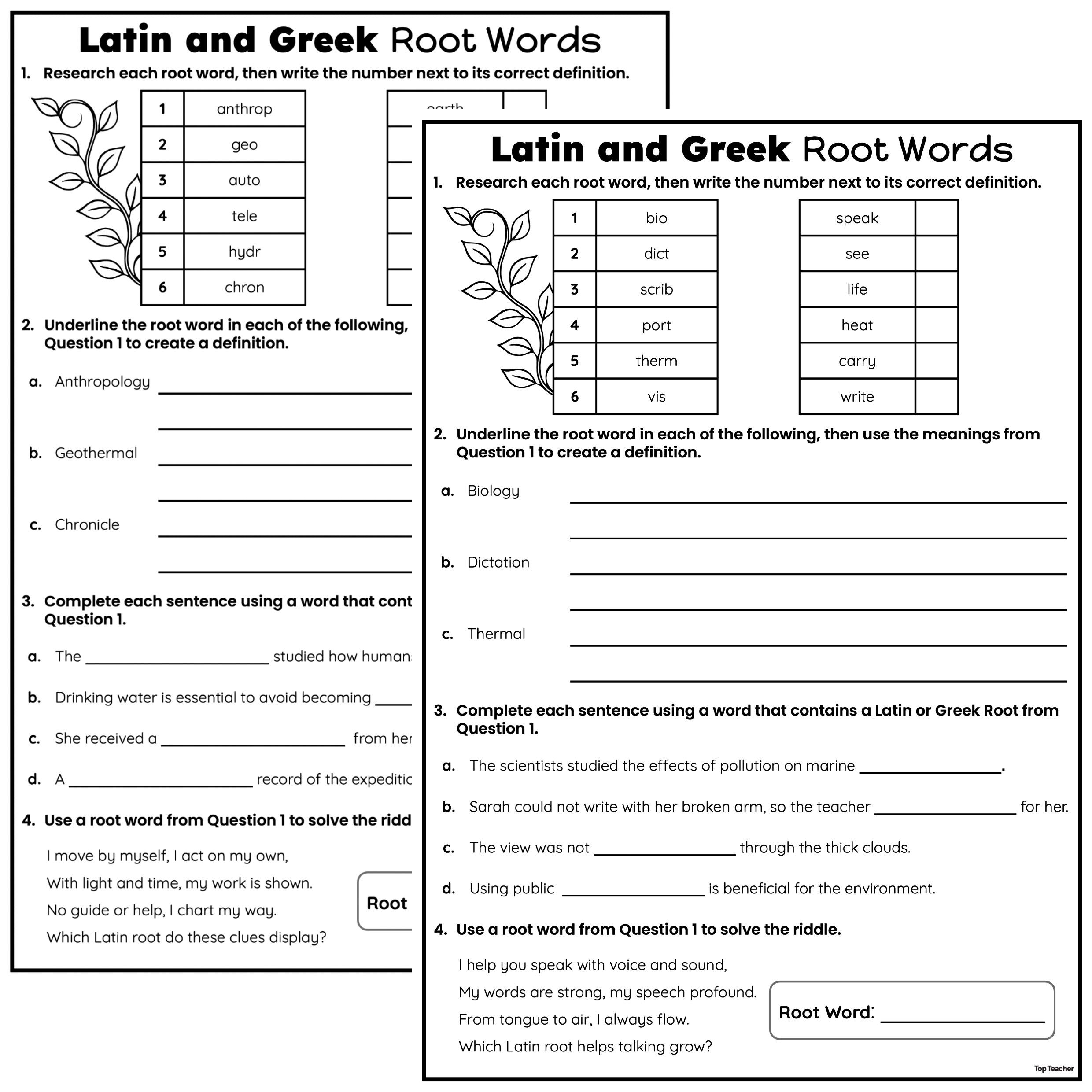 greek and latin roots worksheet