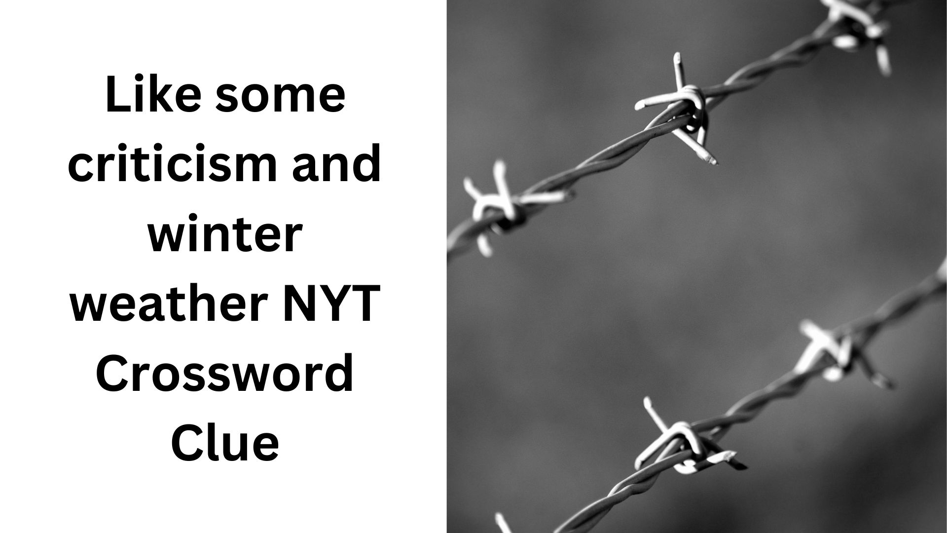 criticizing crossword clue