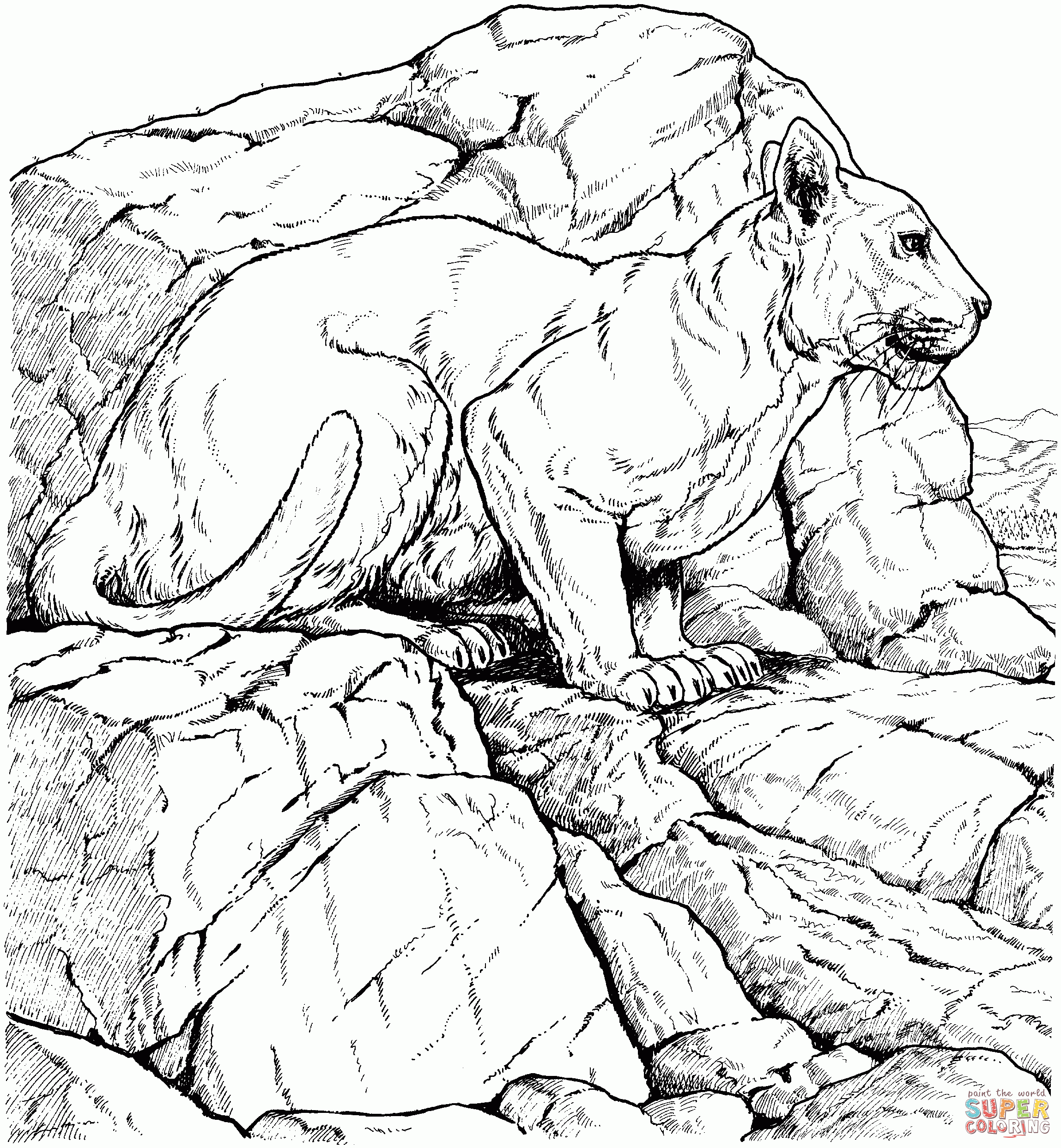 Lioness Coloring Page Free Printable Lioness Coloring Page Free Printable