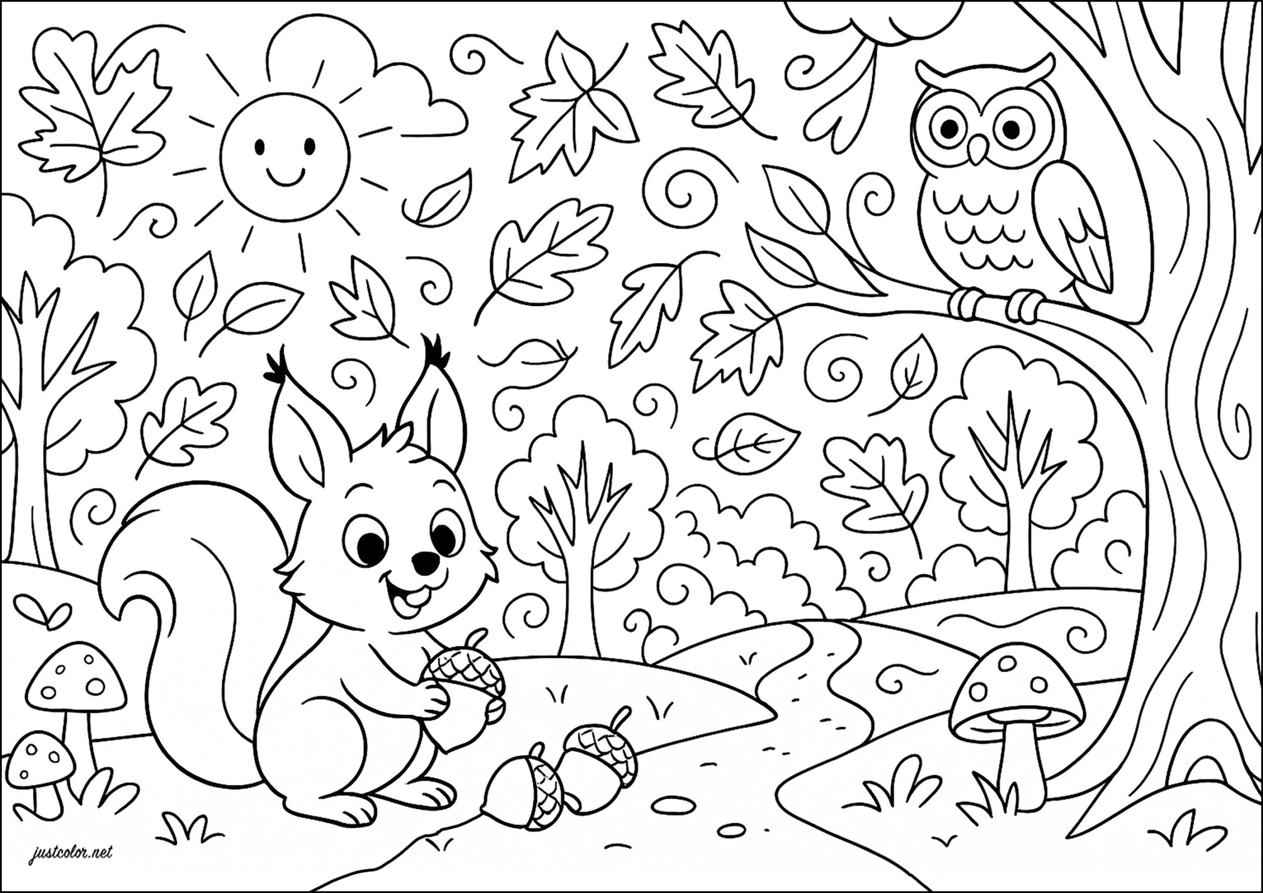 coloring pages squirrel coloring pages squirrel