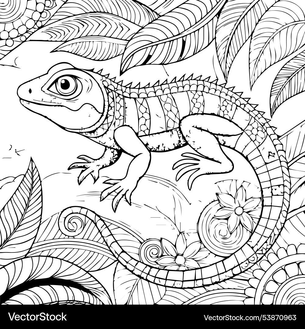coloring page of lizard