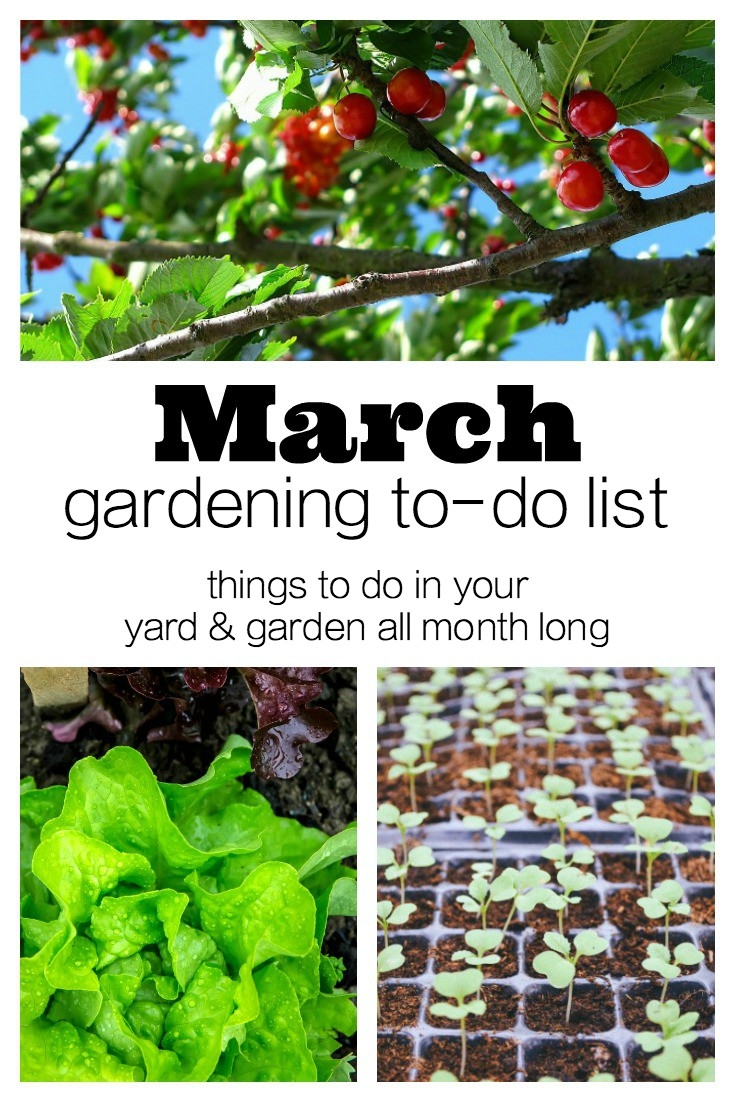 March Gardening To Do List Western Garden Centers