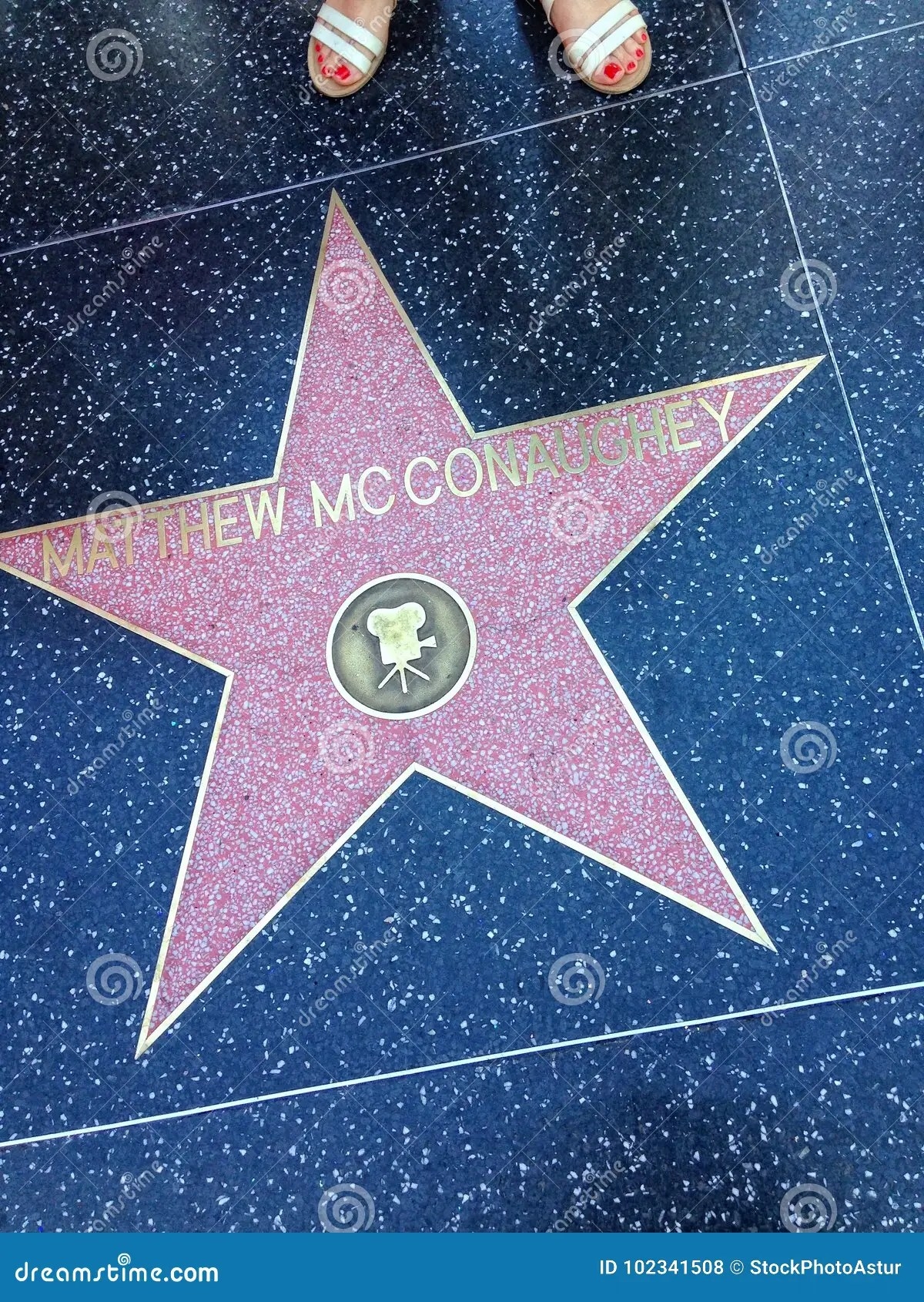 pamplona pooch crossword