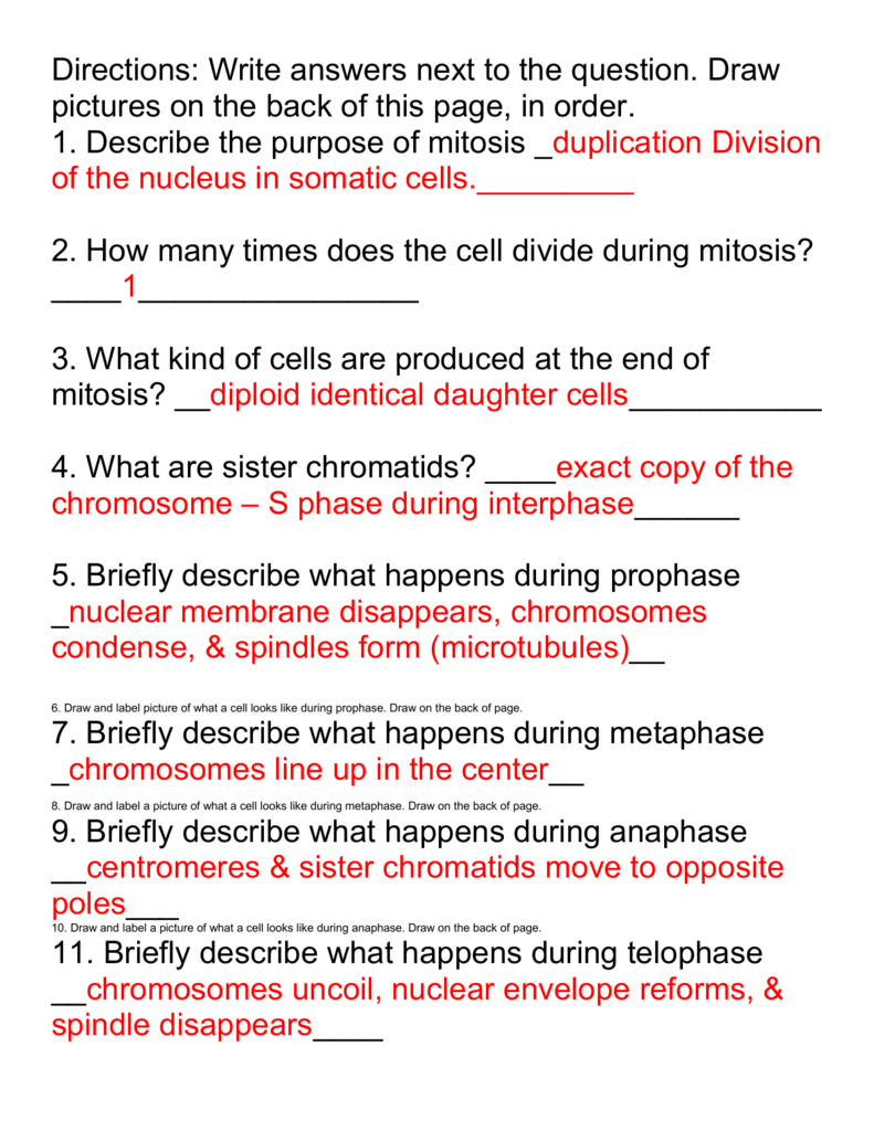 mitosis vs meiosis worksheet