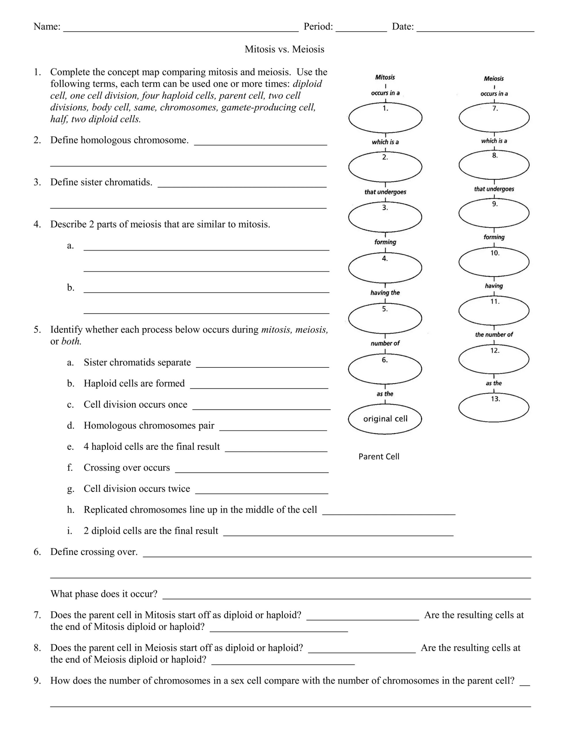 Mitosis Vs Meiosis Worksheet DOC