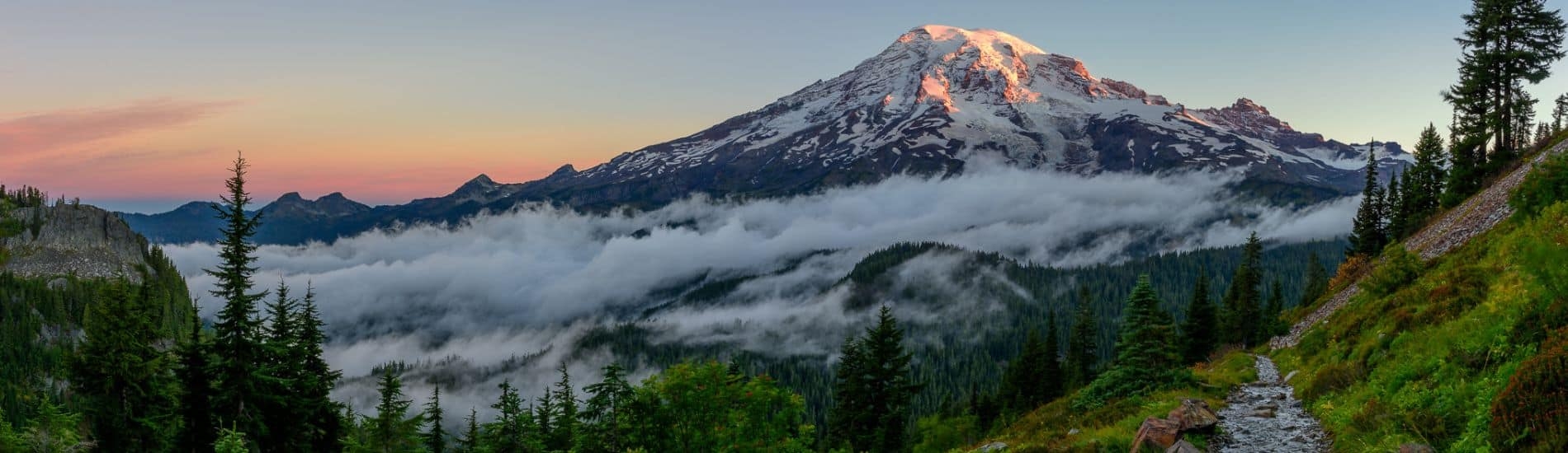 Mount Rainier Facts Information Visit Rainier