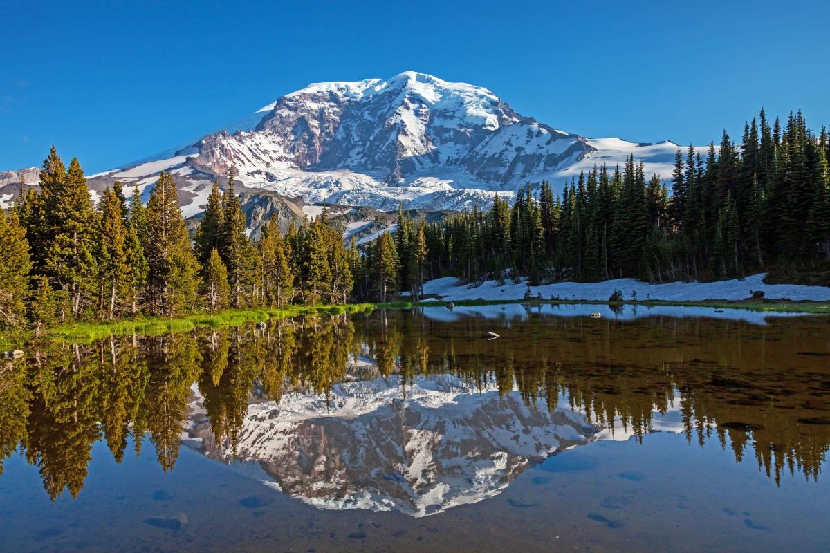 mount rainier worksheet pdf